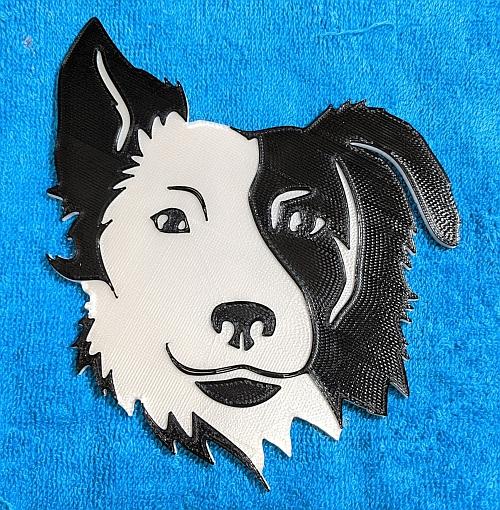 Border Collie 3d model