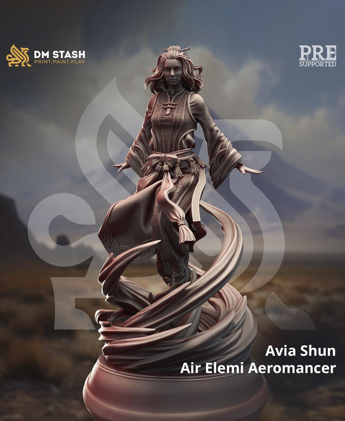 Avia Shun 3d model