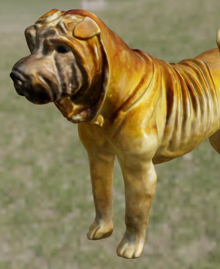 Shar-Peï 3d model