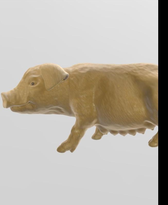 Pig 3d model