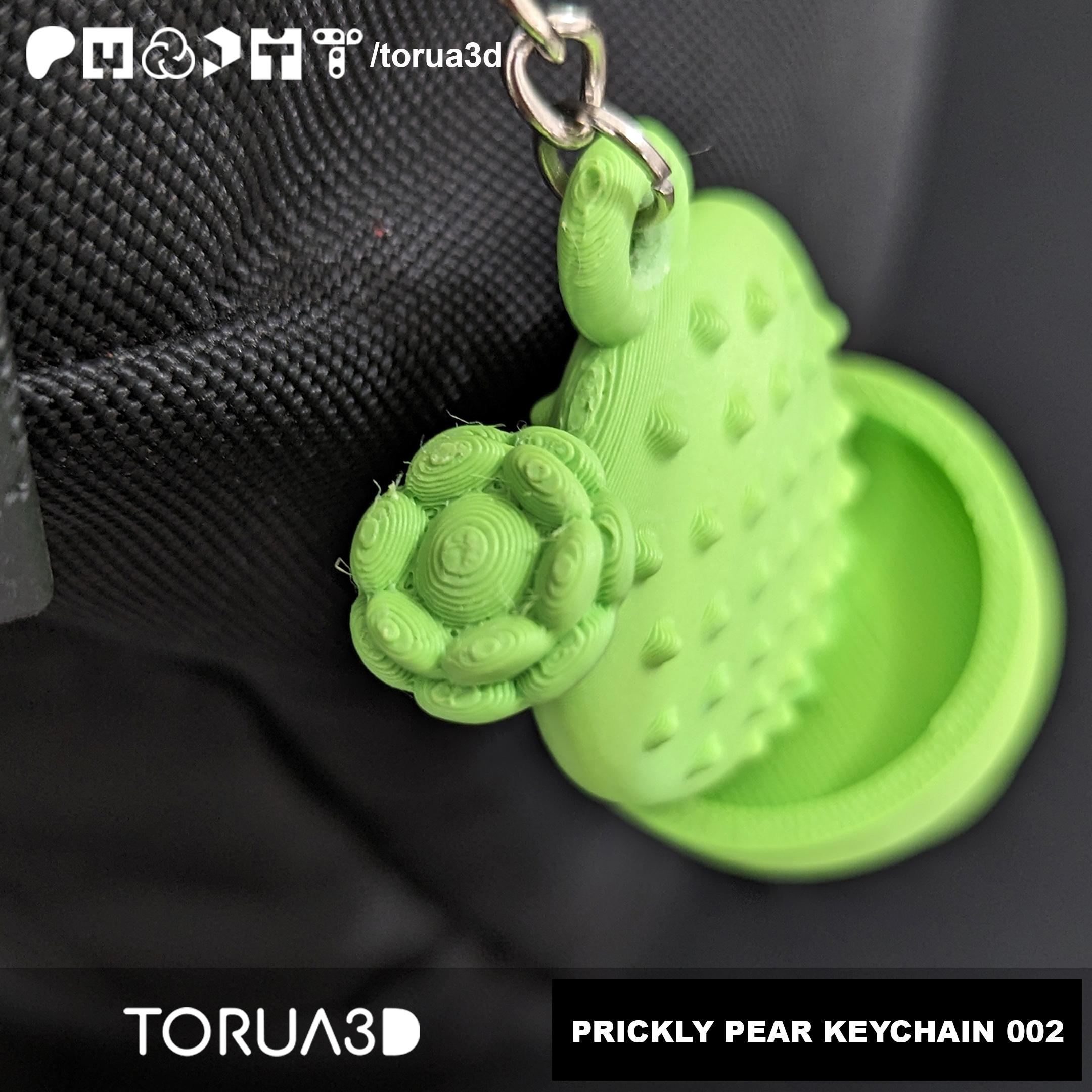 PRICKLY PEAR KEYCHAIN 002 - Cactus  3d model