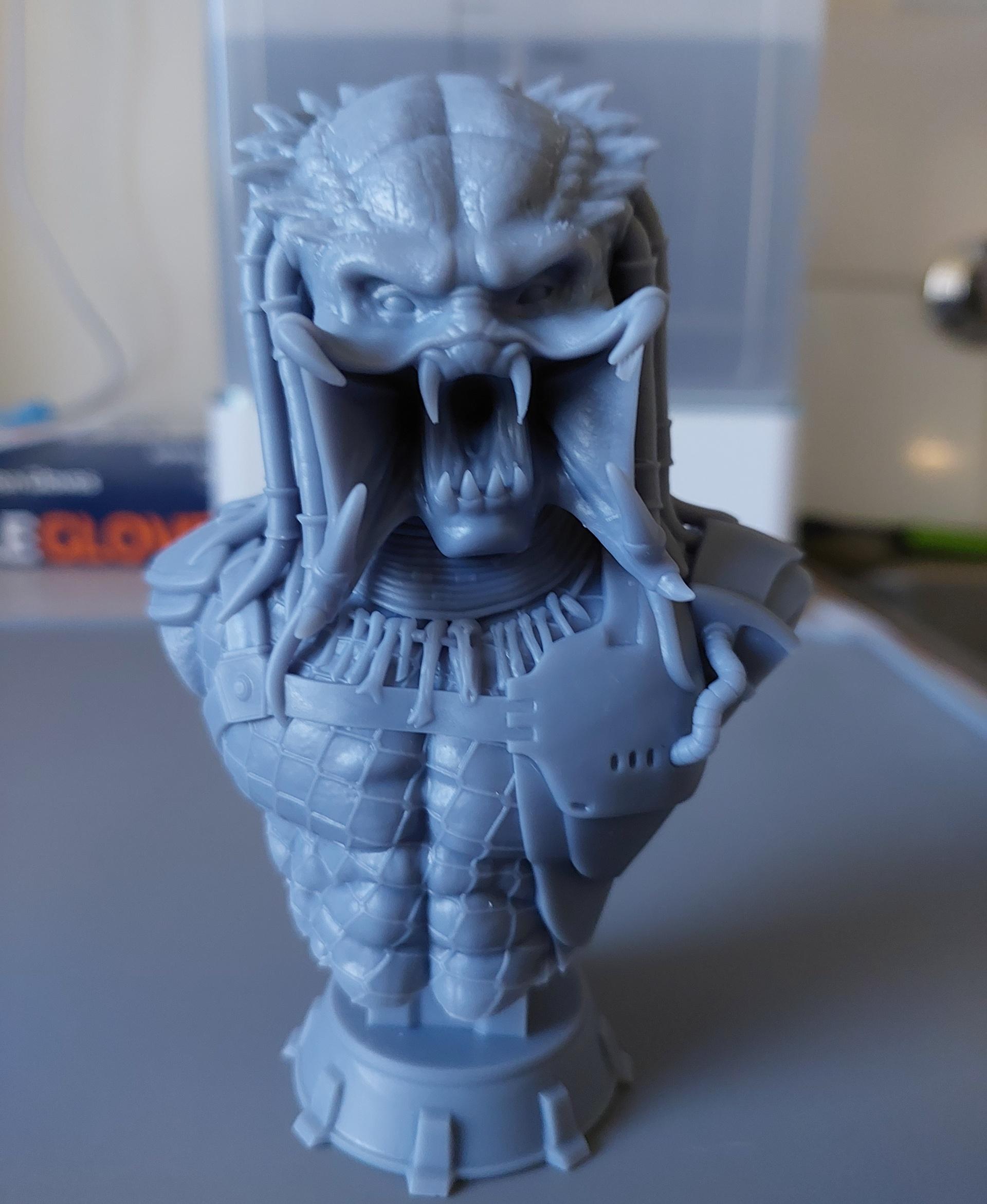 Predator Bust (Pre - Saturn 3 Ultra, 0.02mm Layer Height - 3d model