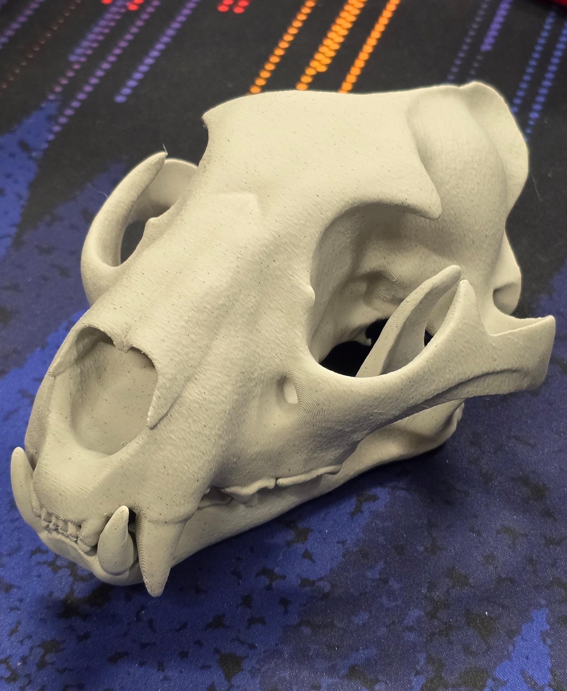 Panther Skull (Pre Supported) 3d model