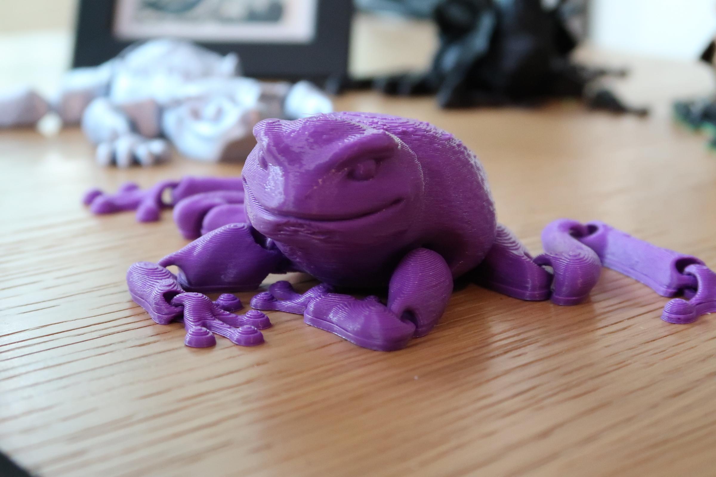 Flexi Toad 3d model