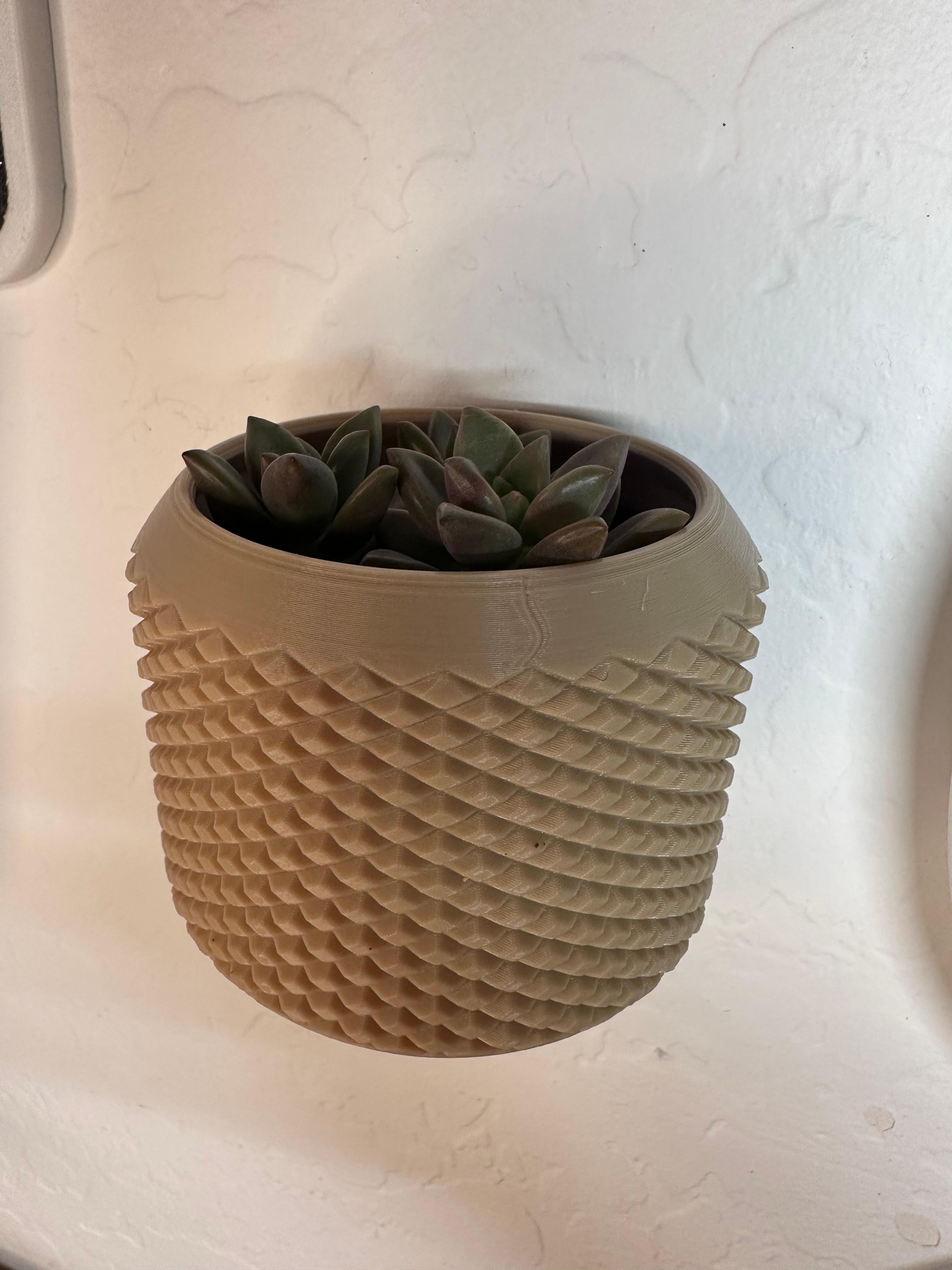 Wall Mounted - Succulent Planters for MEN, Knurled, Succulent Pot 3d model