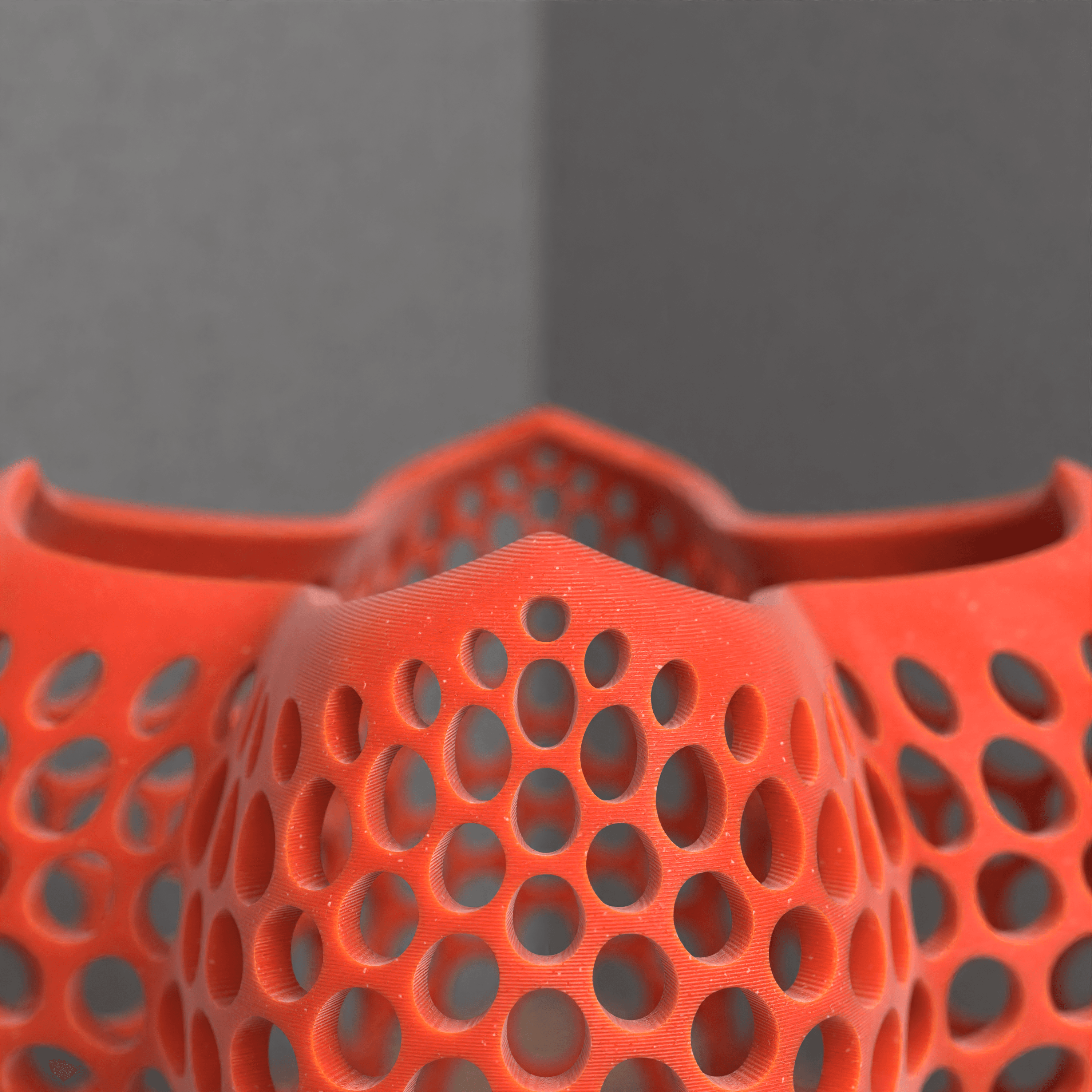 STRAWBERRY VORONOI VASE 3d model