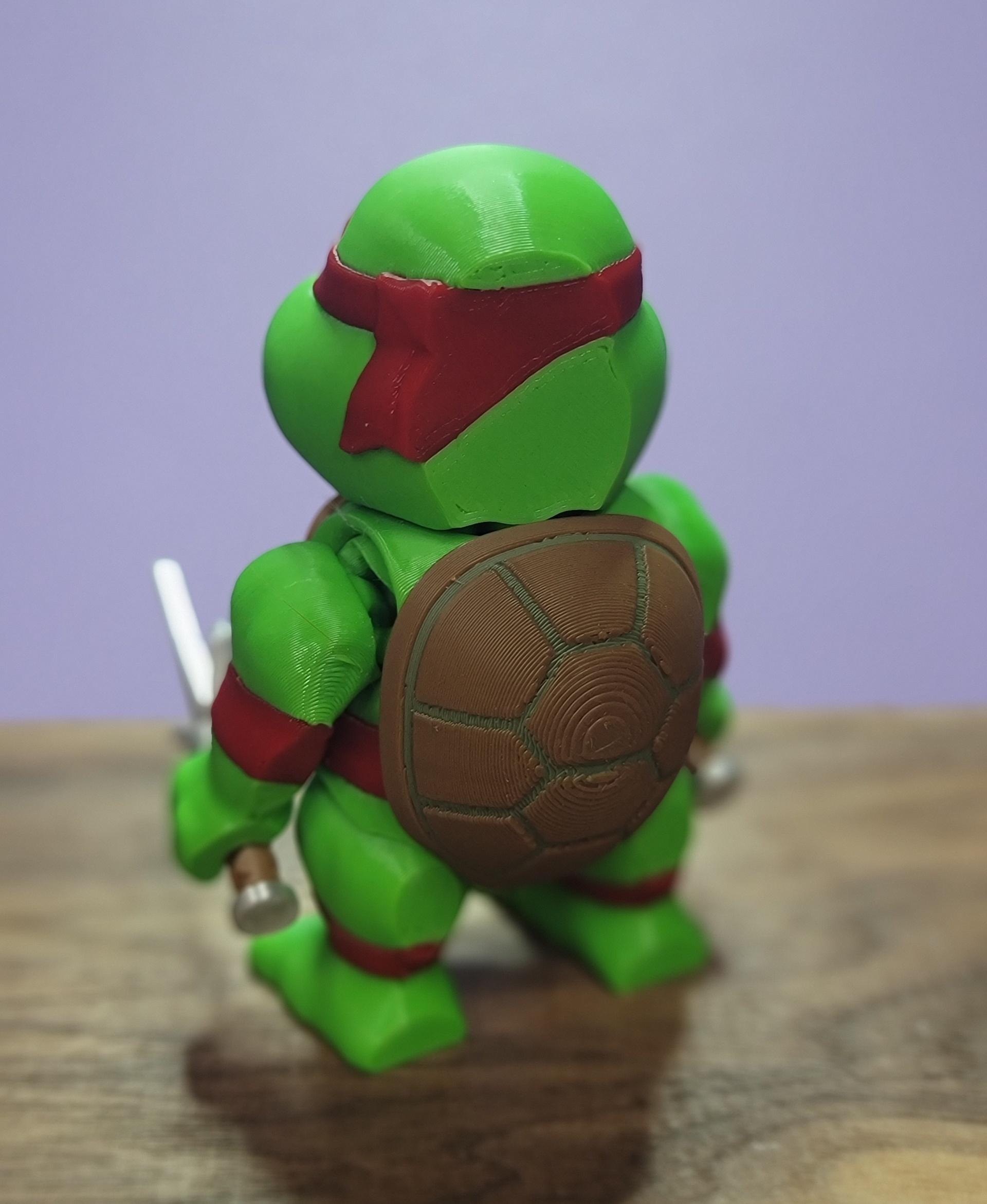 Donatello and Raphael Fexi Combo Pack 3d model