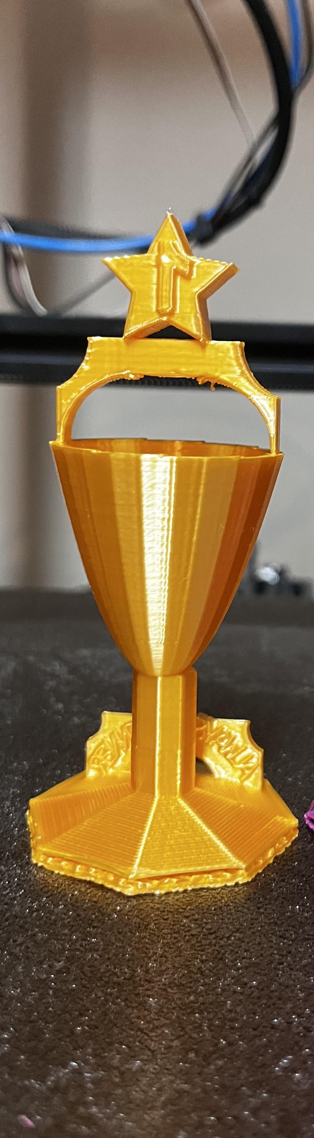 Trophy and award.stl 3d model