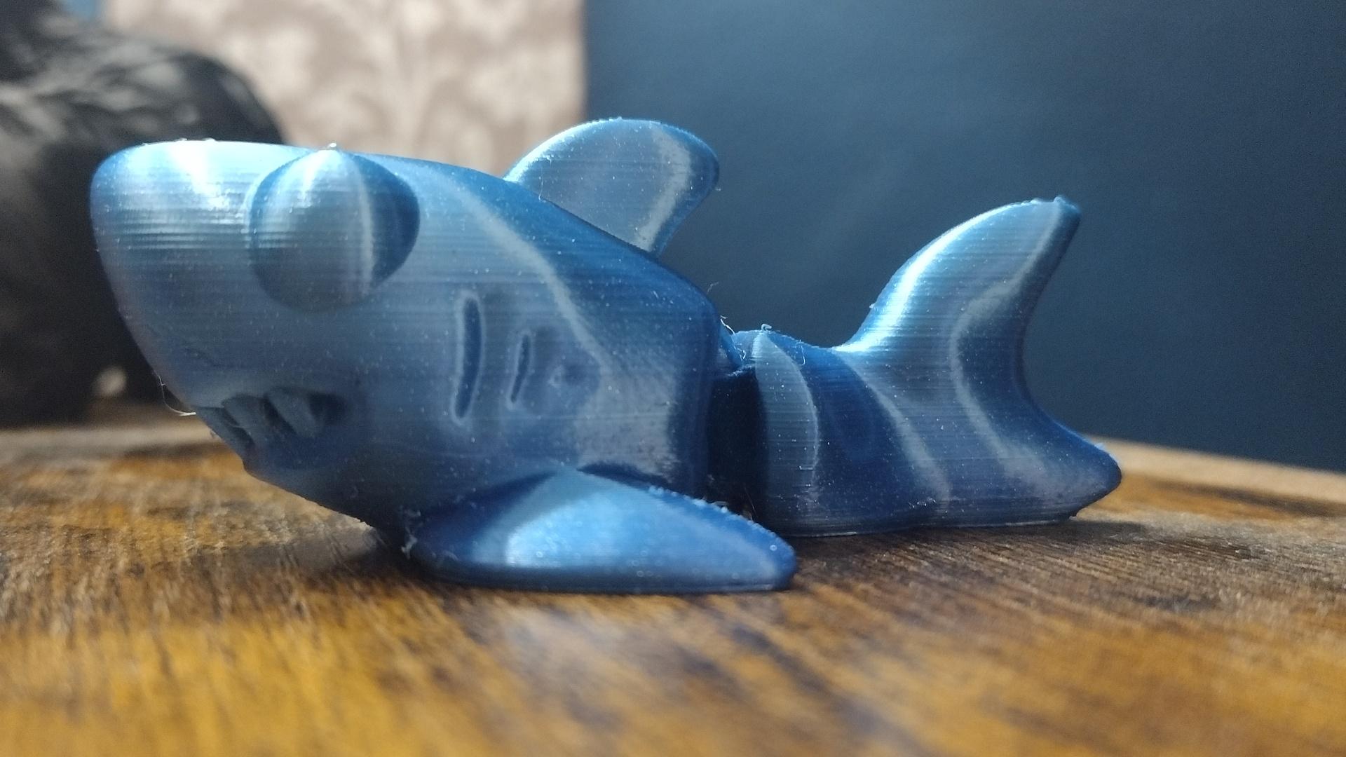 Cute Flexi Shark 3d model