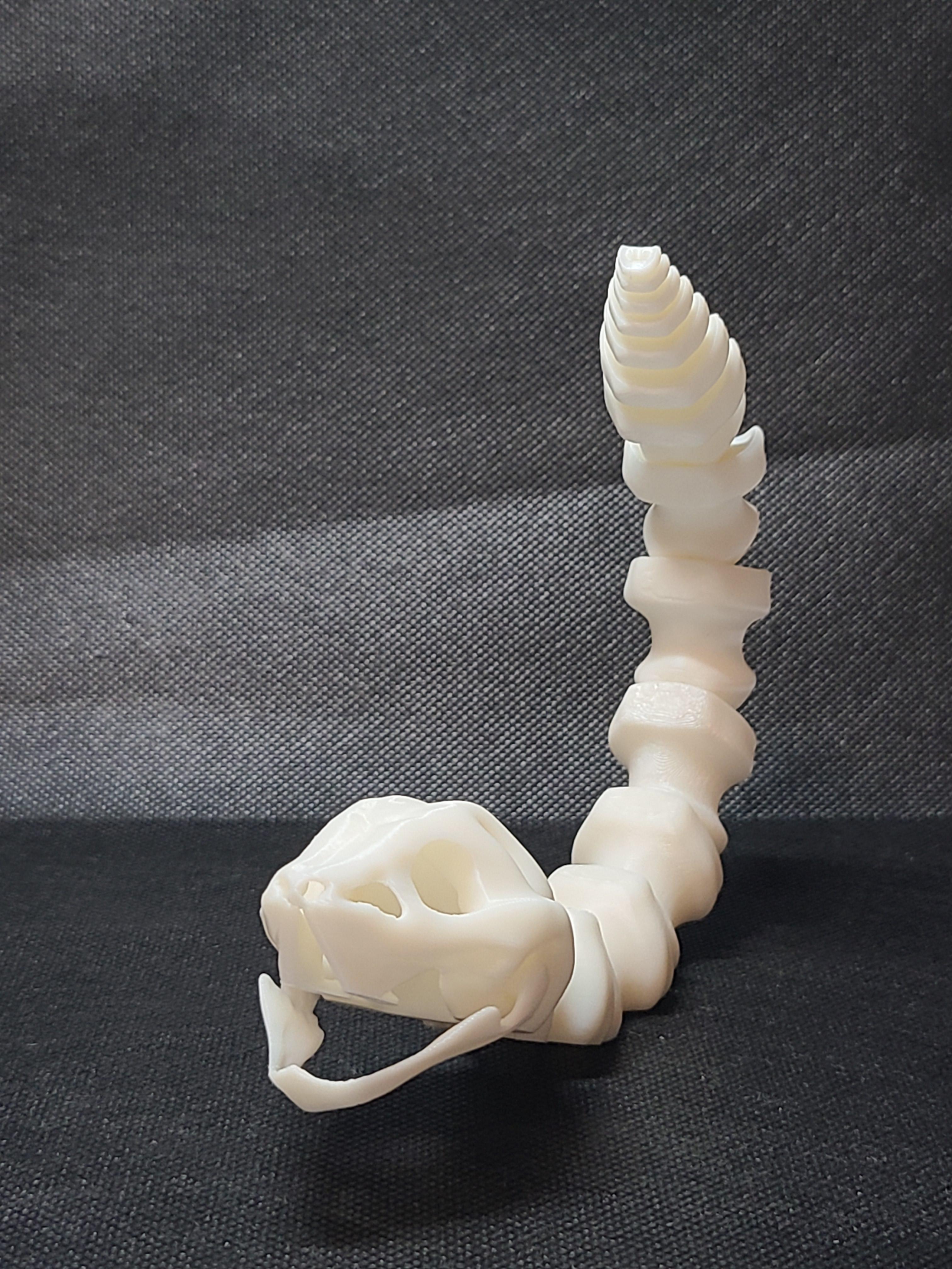 Sleek-Eyed Bone Snake (Loose) - Articulated Snap-Flex Fidget 3d model