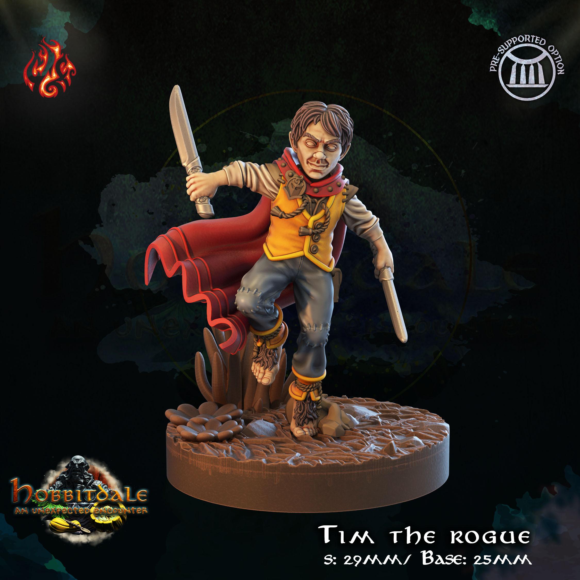 Tim the Rogue 3d model