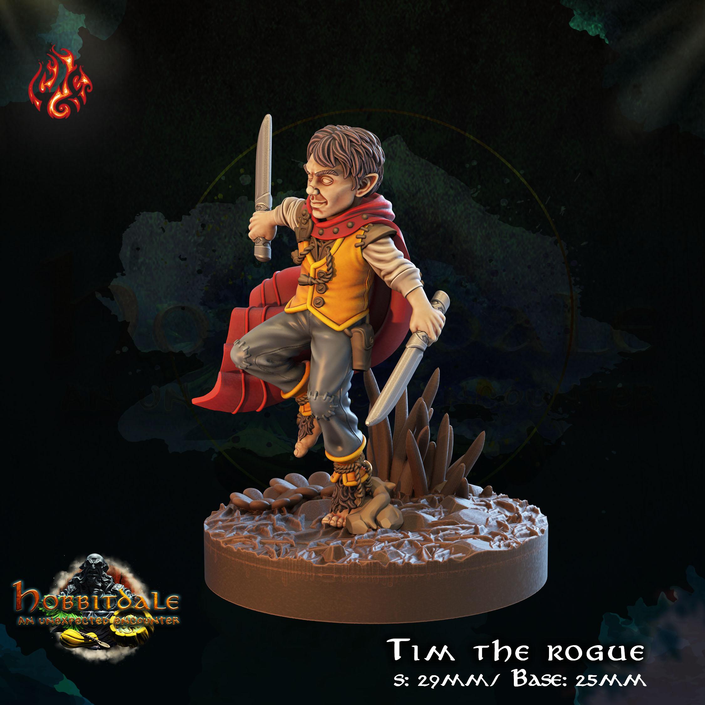 Tim the Rogue 3d model