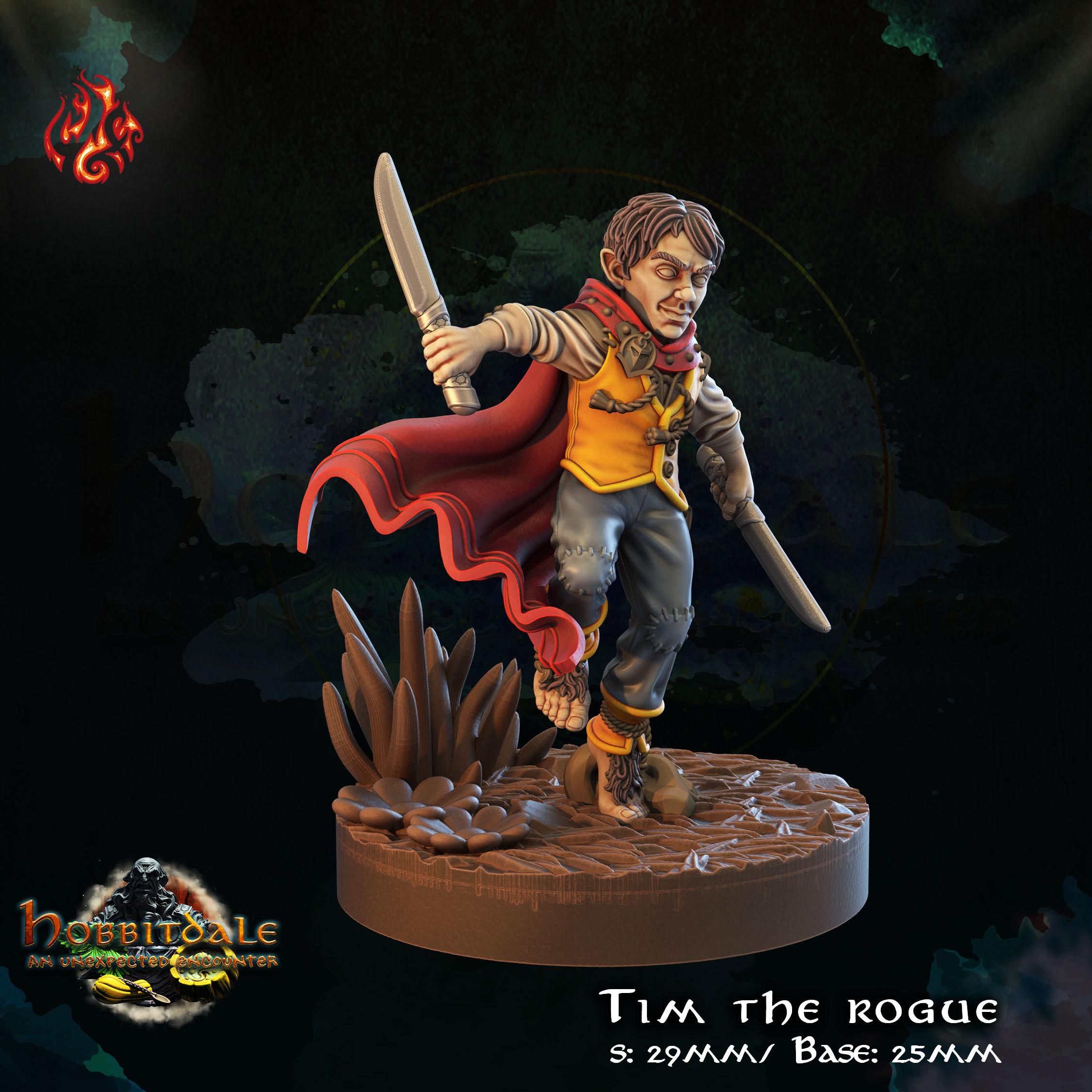 Tim the Rogue 3d model