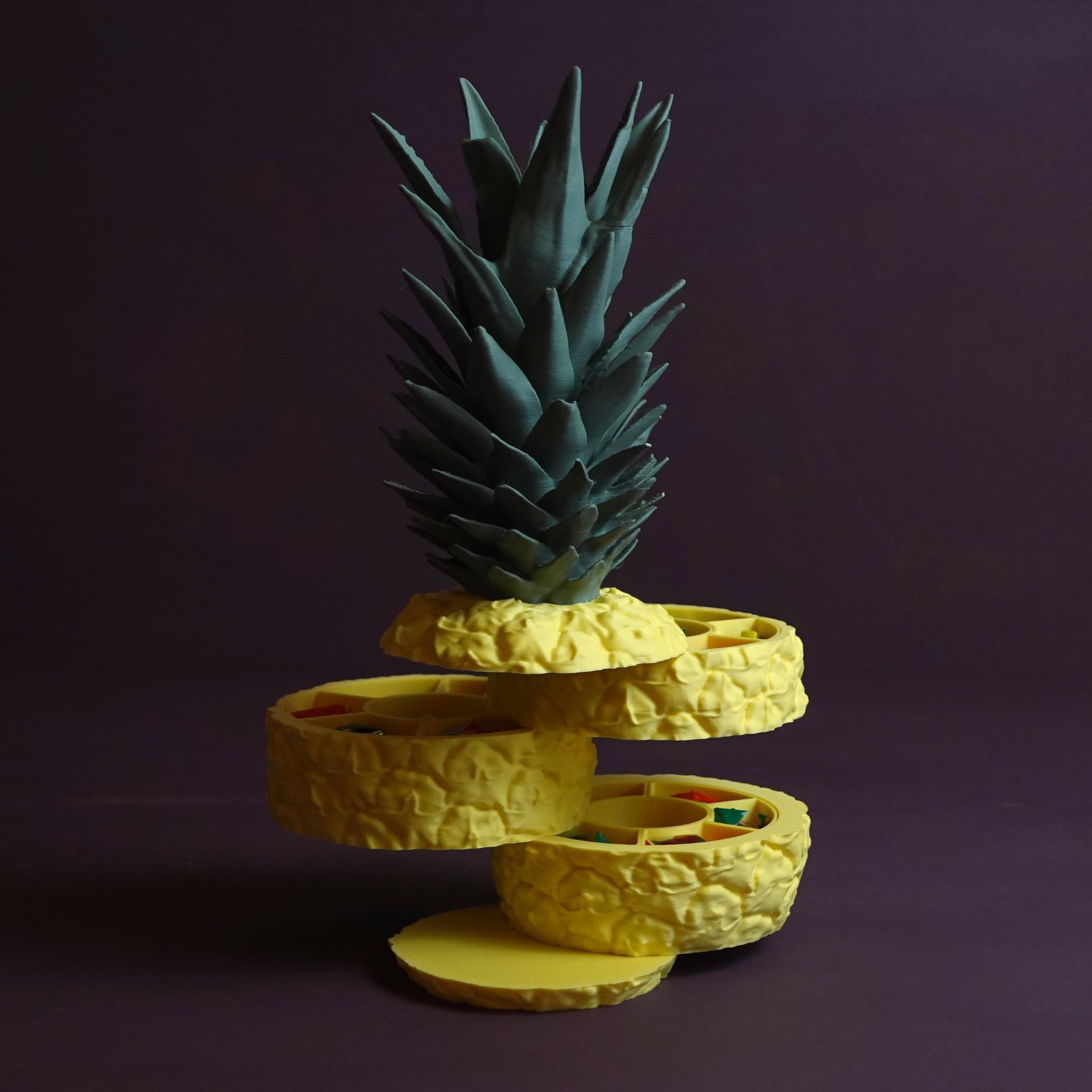 Sliced Ananas 3d model