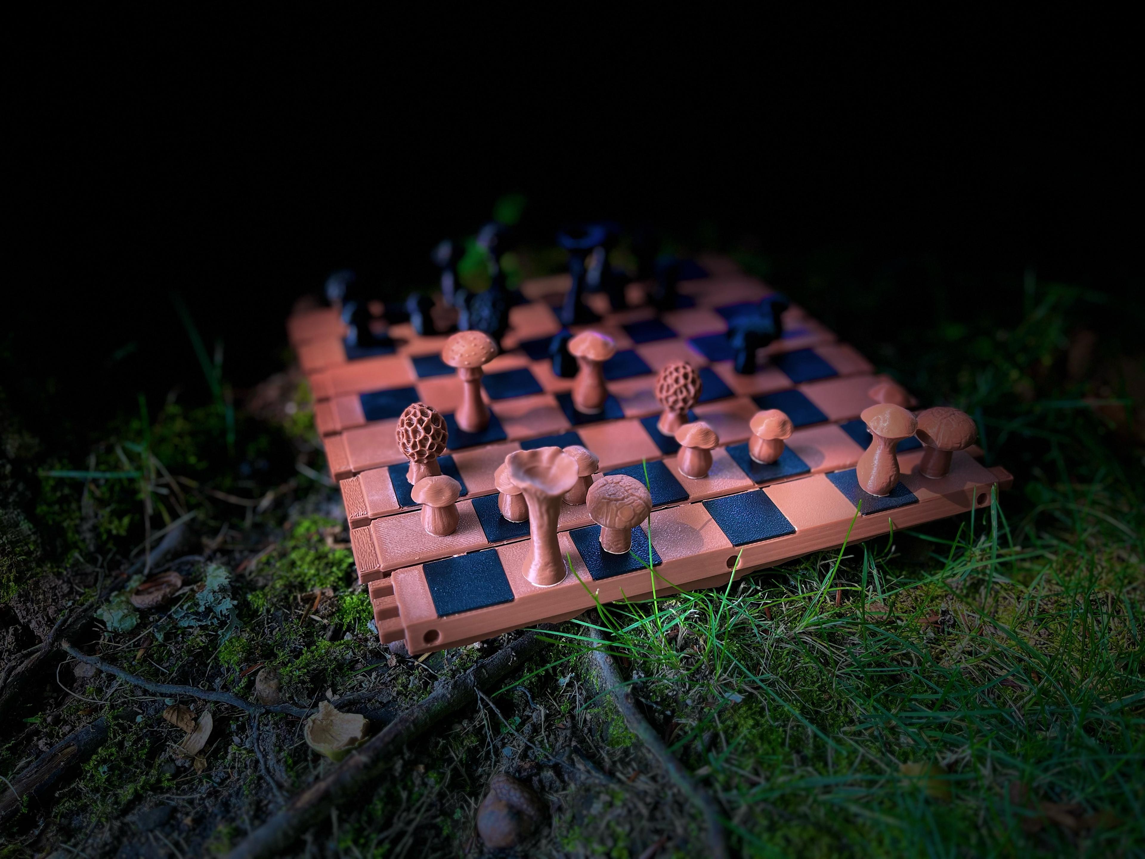 Forest Chess Set - Log and Mushroom Chess Board - Acorn Checkers 3d model