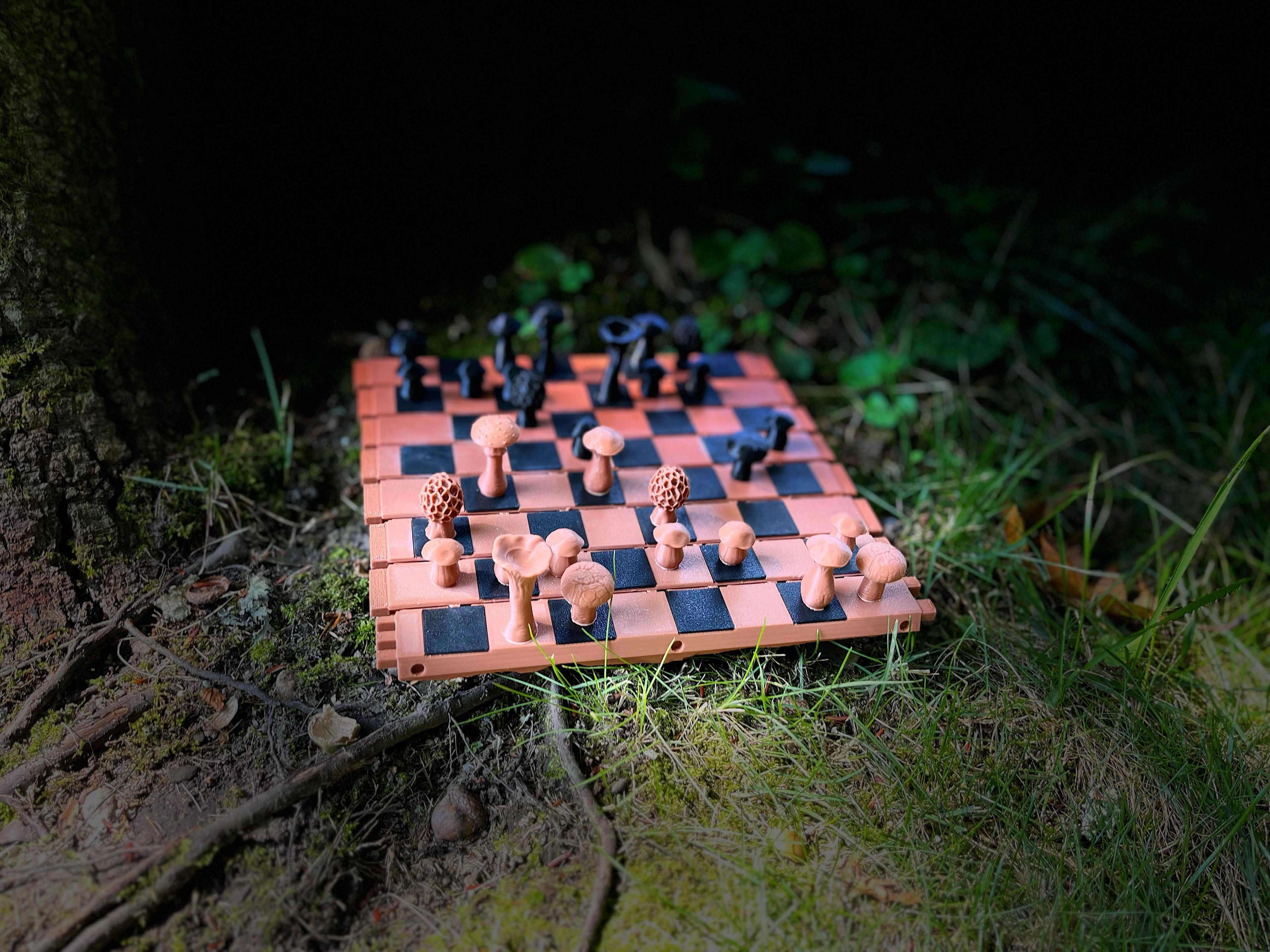 Forest Chess Set - Log and Mushroom Chess Board - Acorn Checkers - Amazing Print! - 3d model