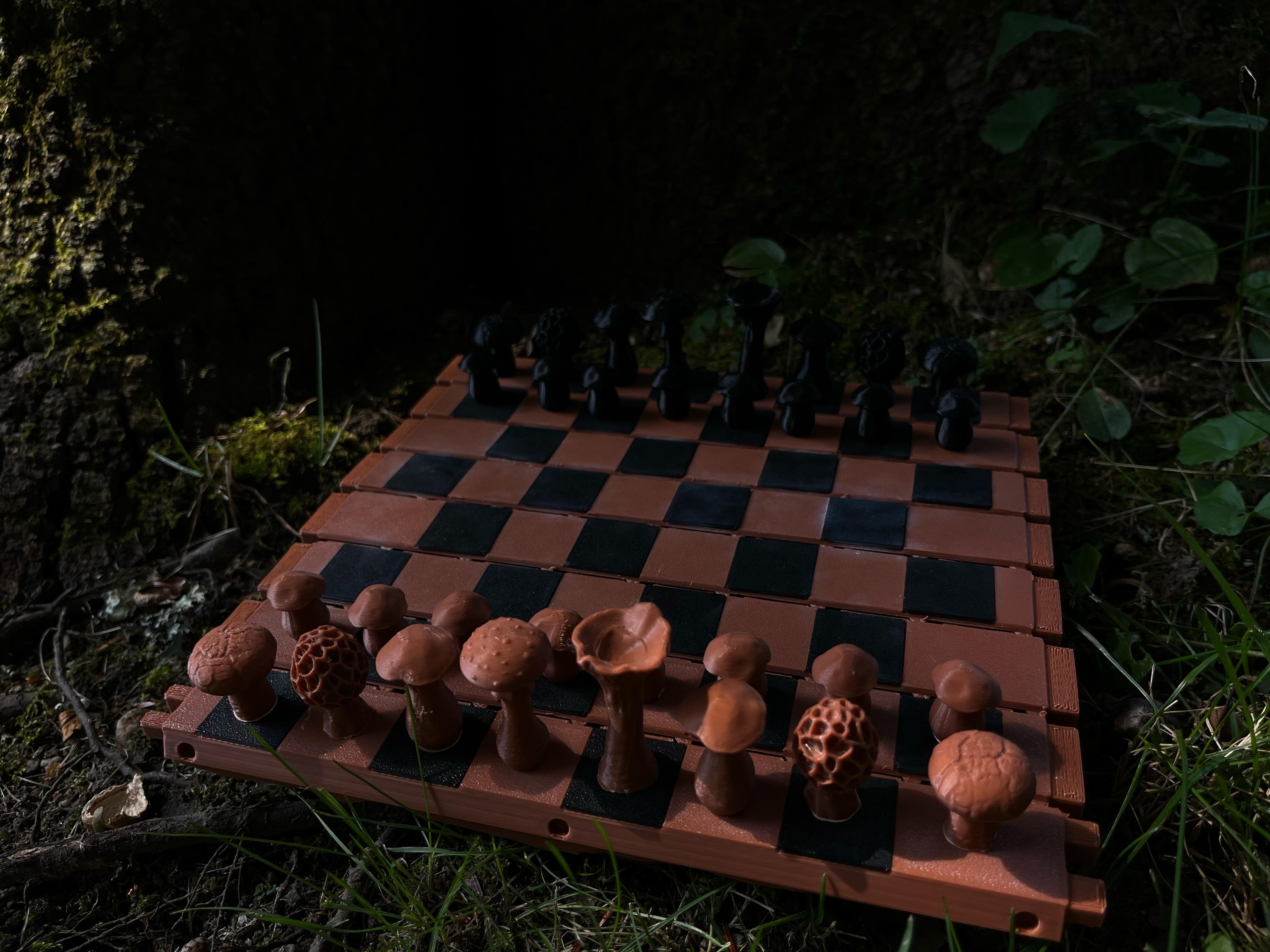 Forest Chess Set - Log and Mushroom Chess Board - Acorn Checkers 3d model