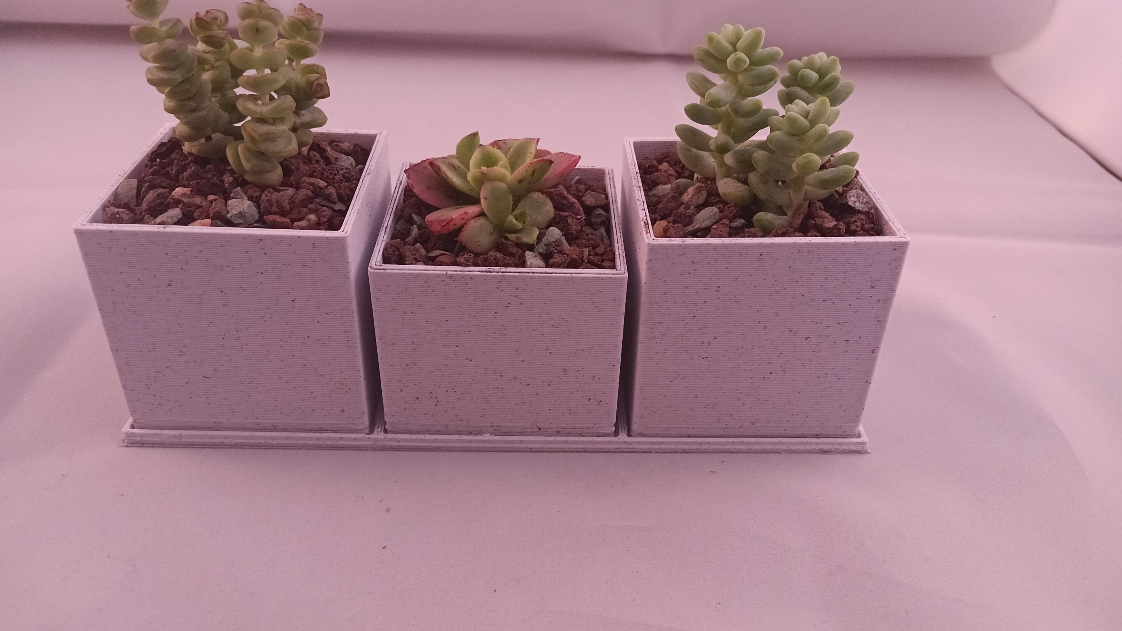 Square Modern Style Succulent Pot Planters Single Double Triple  3d model