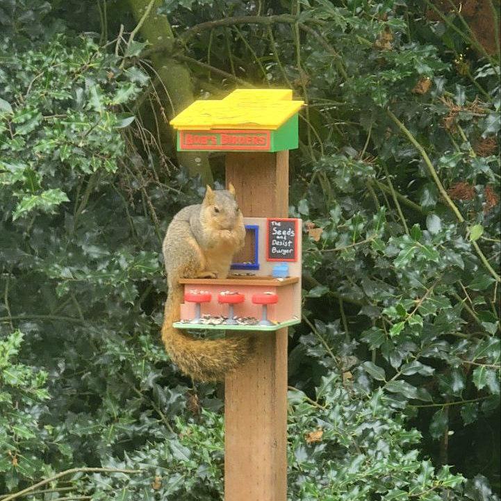 Bob's Birders (Bird and Squirrel Feeder)  3d model