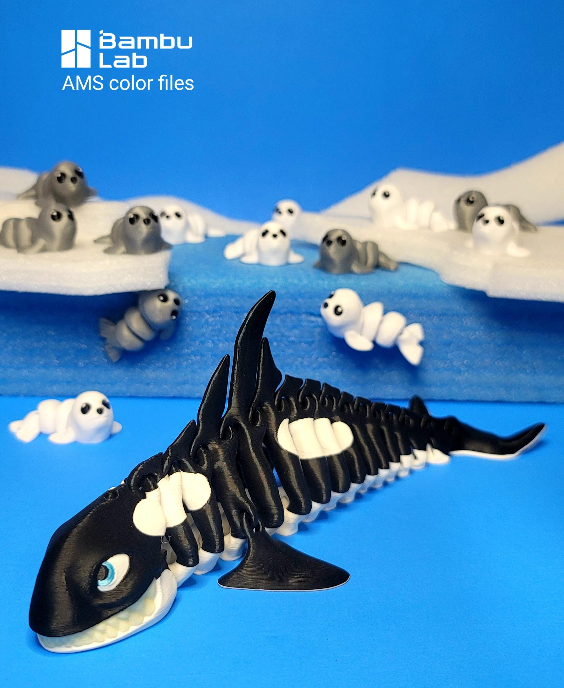 Killer Whale  3d model