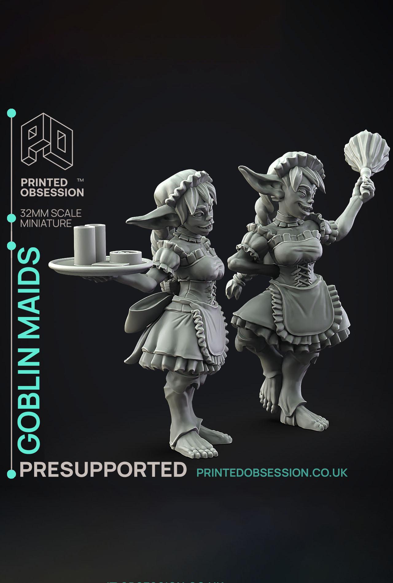 Goblin Maid - Dungeon Cleaning Inc - PRESUPPORTED - Illustrated and Stats - 32mm scale			 3d model