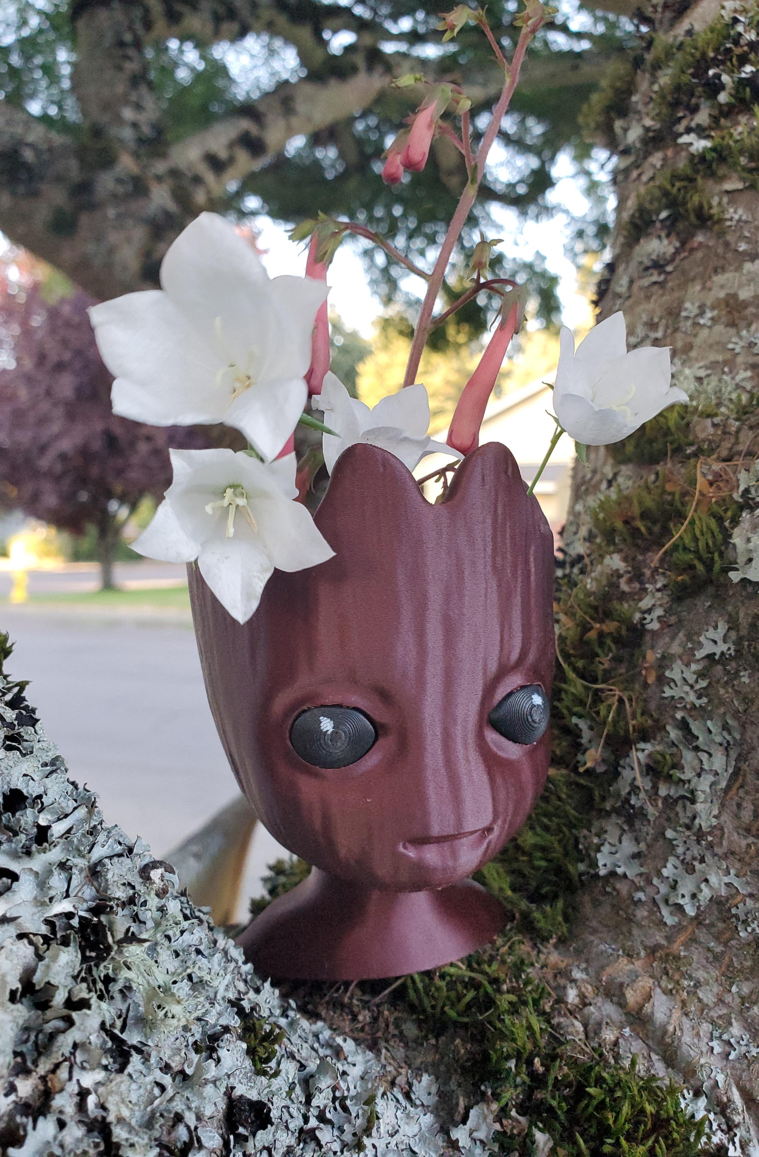 Baby Groot Planter - Multi Part Model 3d model