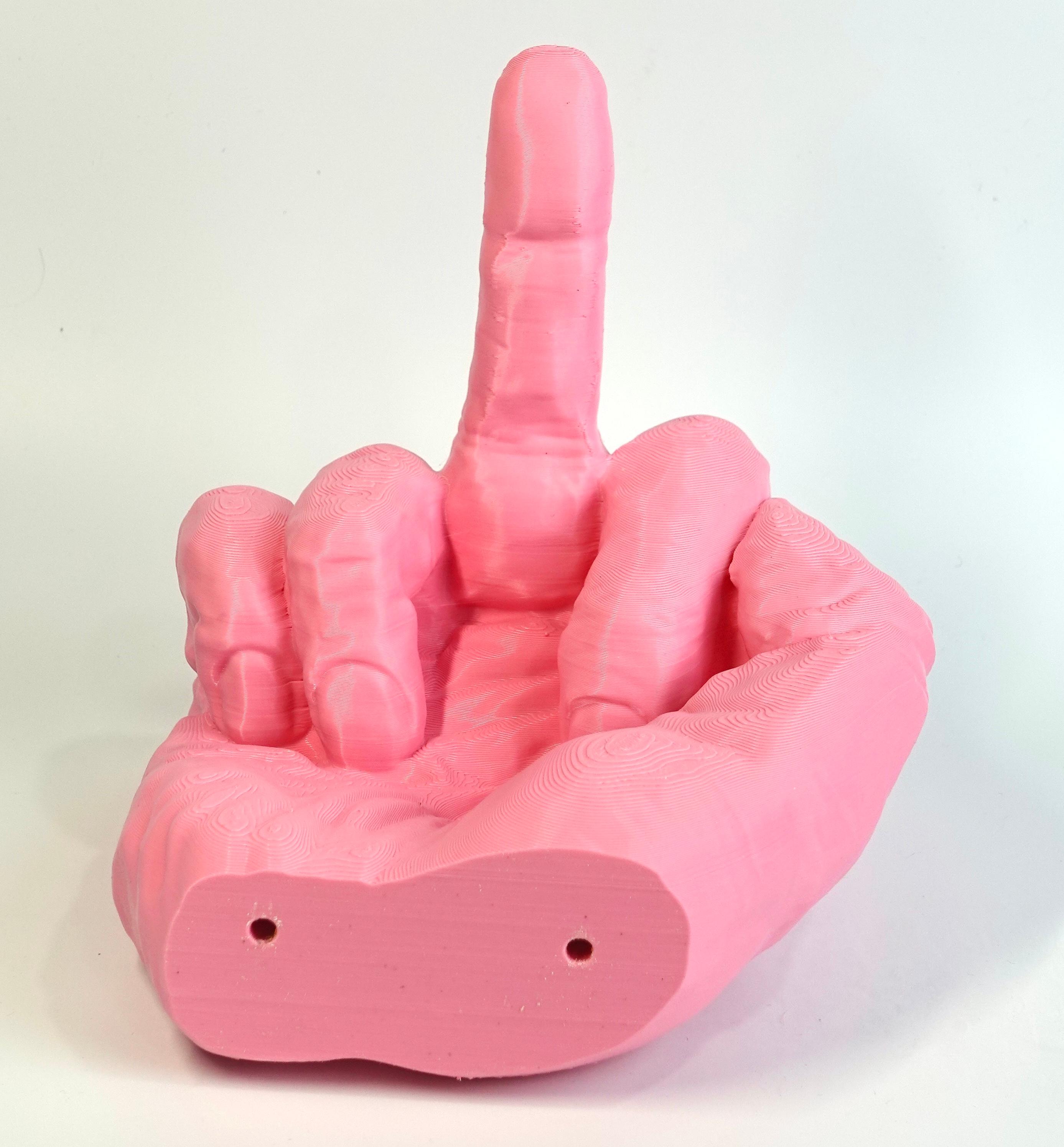 Middle Finger Toilet Paper Holder  3d model