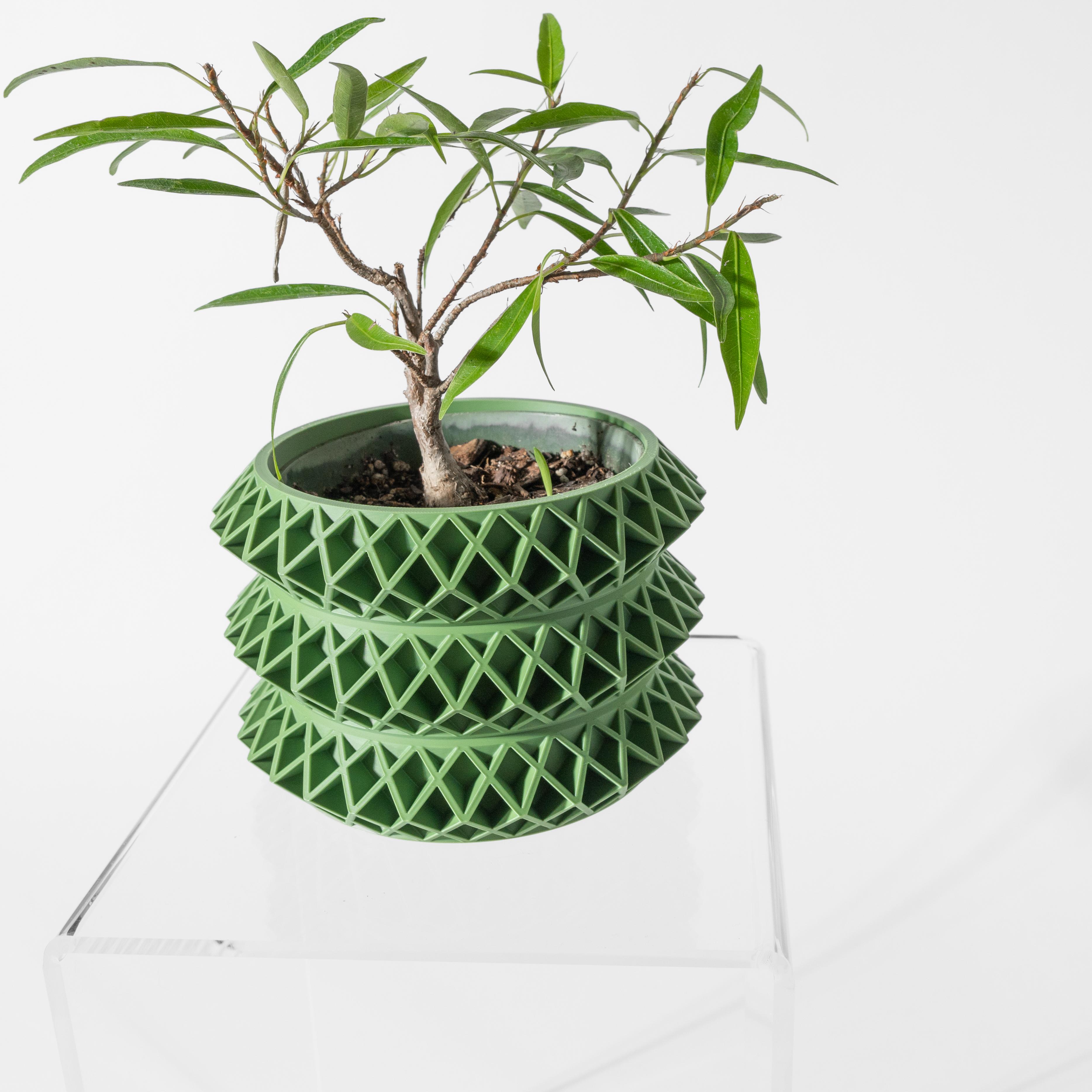 The Tomo Planter Pot with Drainage Tray & Stand: Modern and Unique Home Decor for Plants 3d model