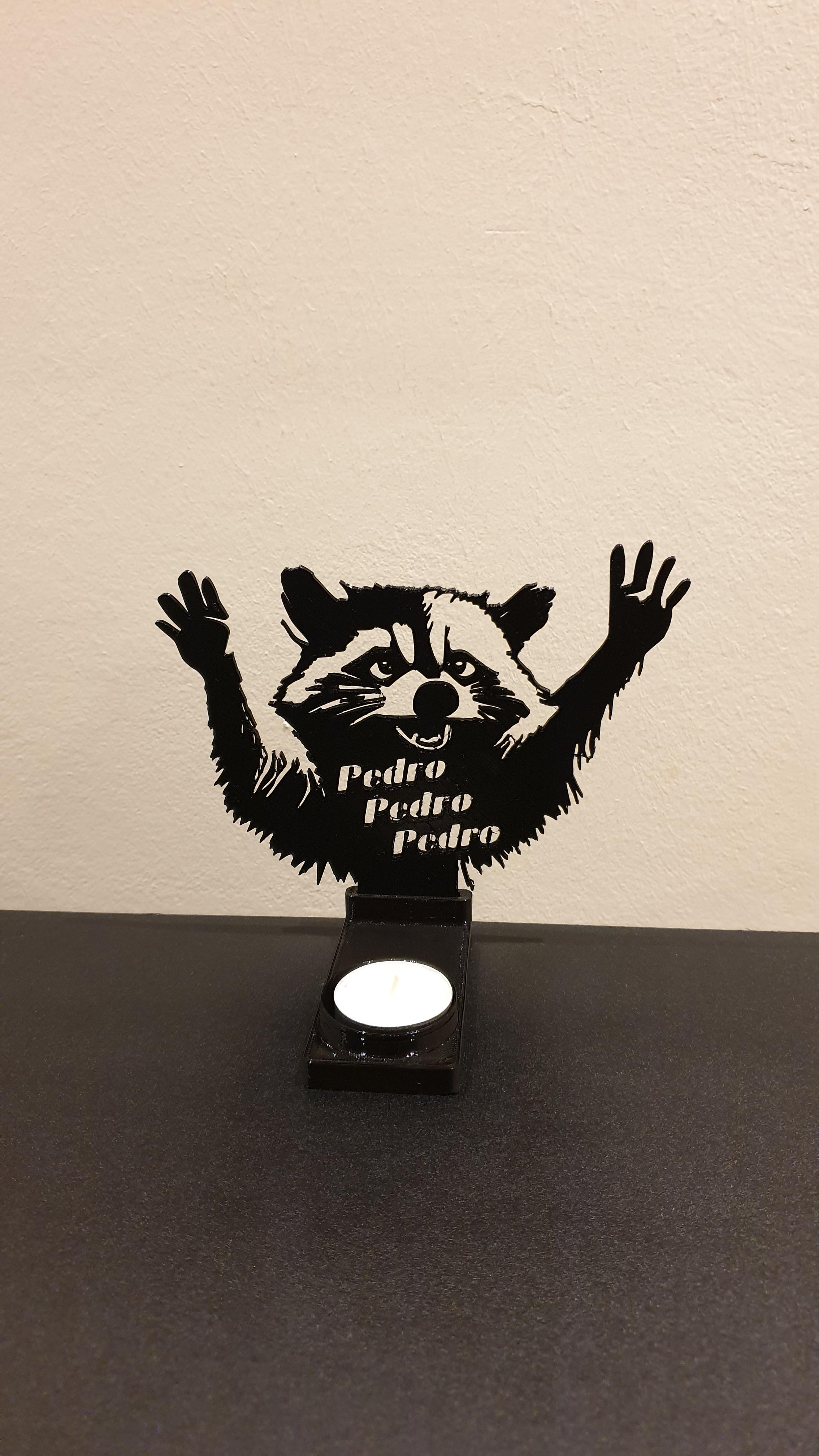 Shadow Art Decoration - Racoon Pedro 3d model