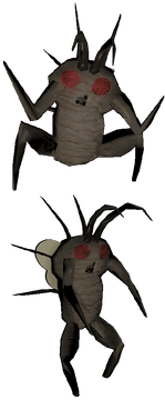 Hoarding Bug 3d model