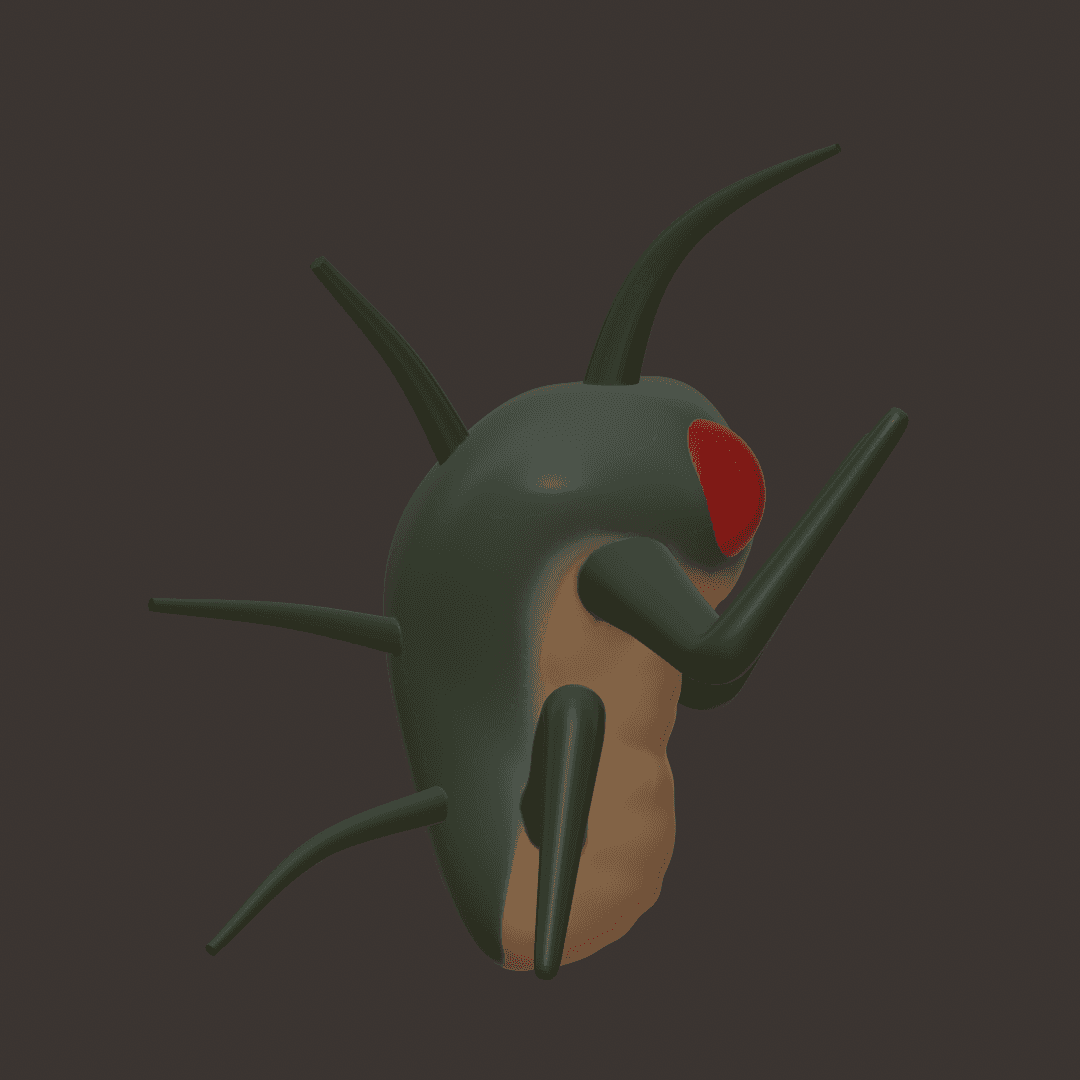 Hoarding Bug 3d model