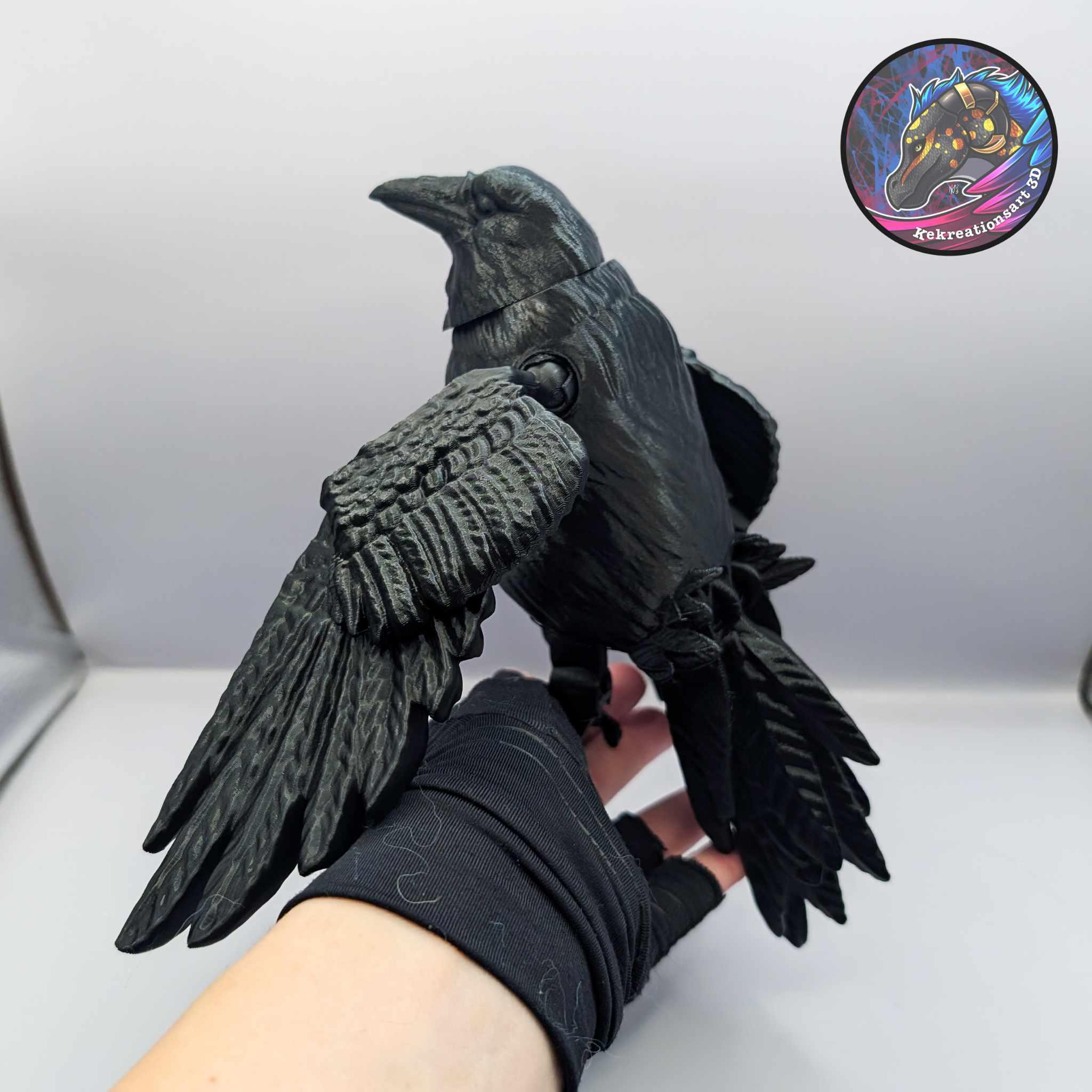 Flexi Raven 3d model