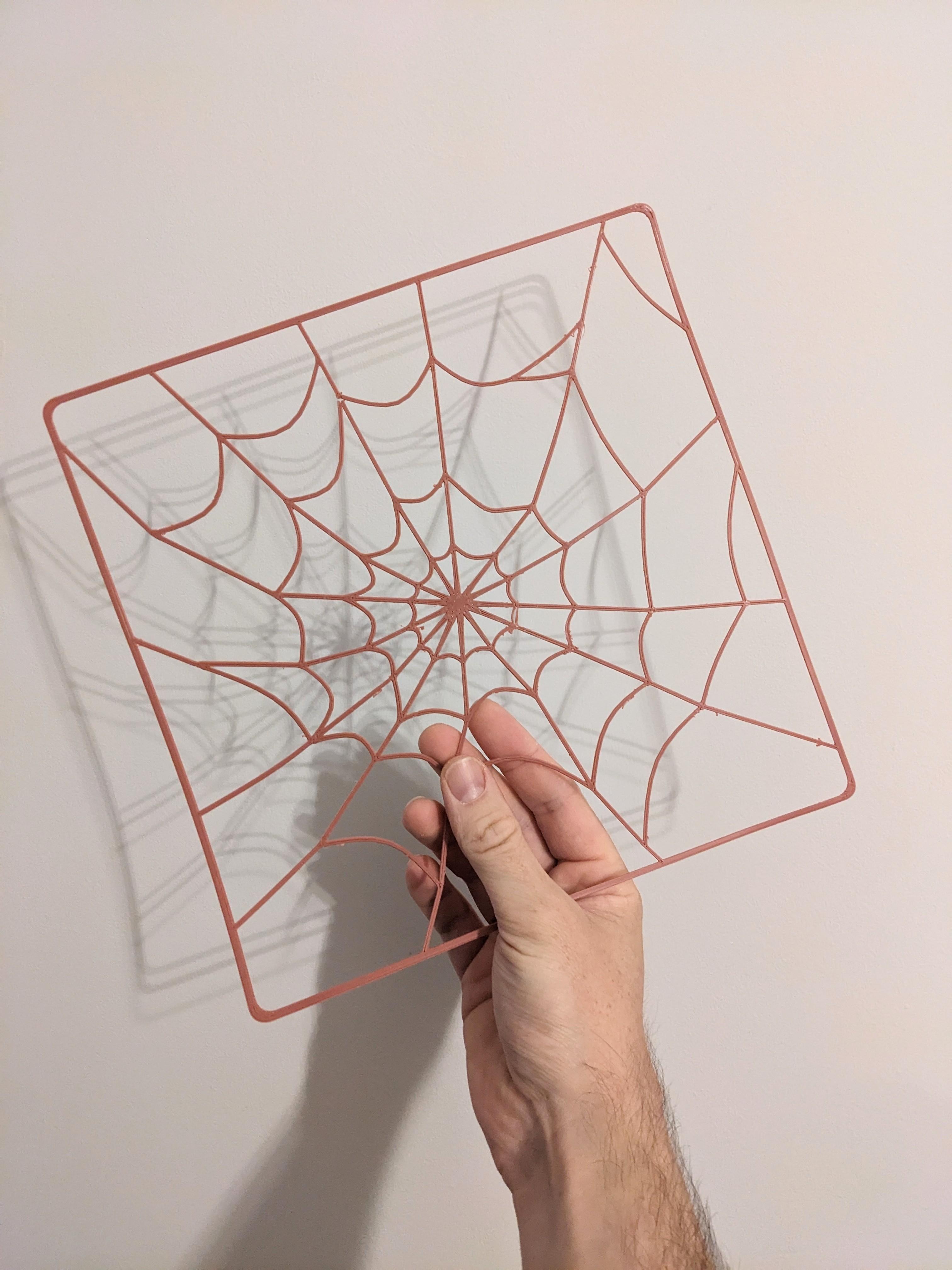 Cobweb Square Panel 3d model