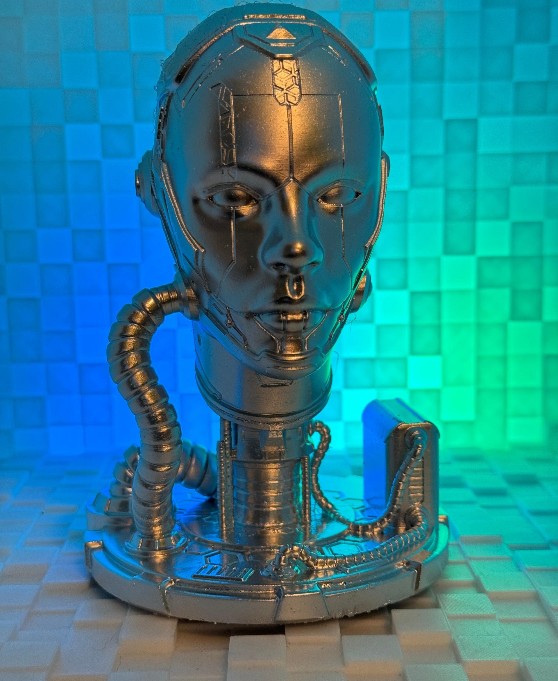 Cyborg (Pre Supported) - Printed at 100% scale on the Saturn 4 Ultra in Flashforge Dark Grey resin, and then sprayed with silver paint from a rattlecan. I love all the details in this model; Fotis ALWAYS hits it out of the park! - 3d model