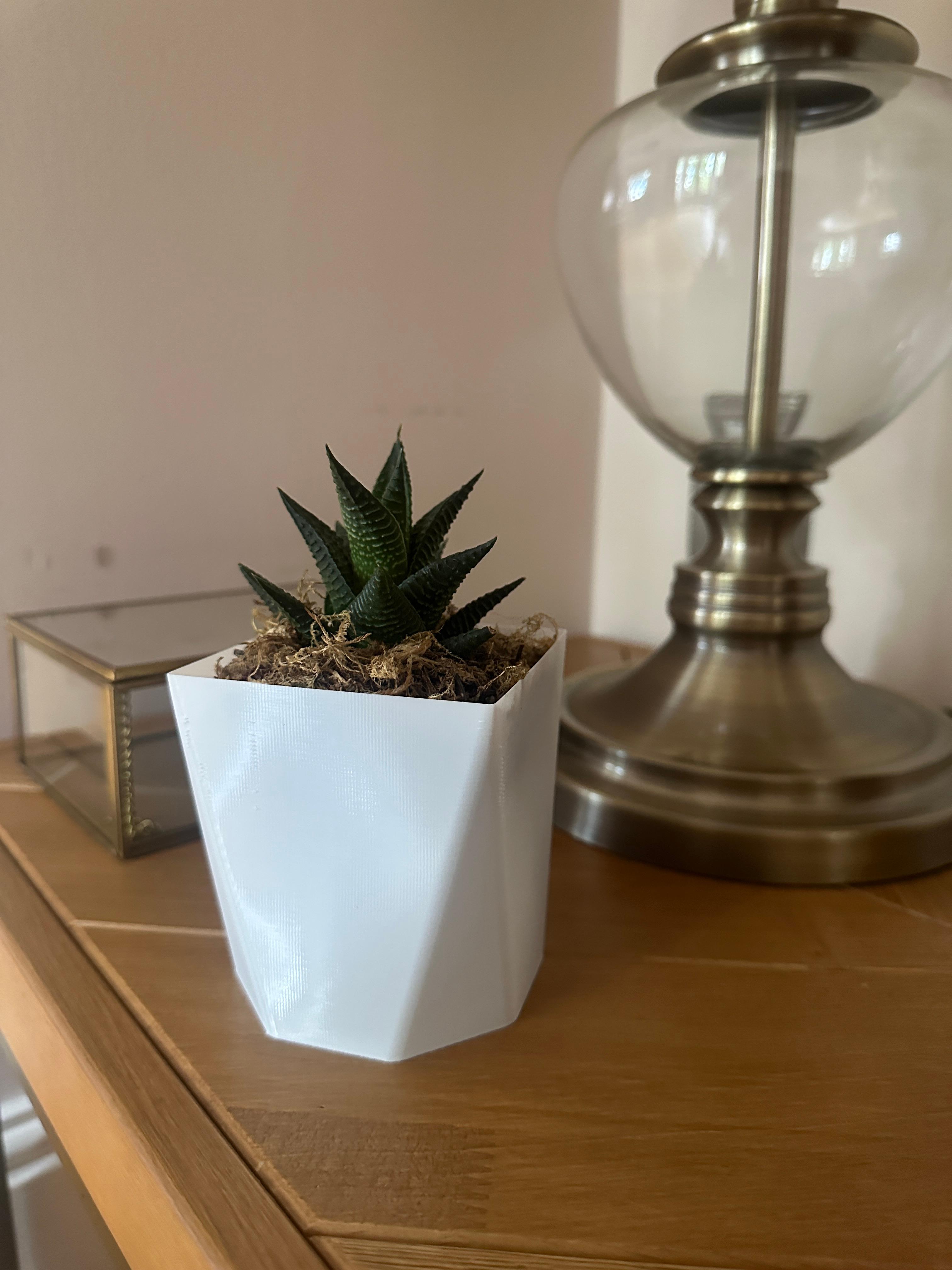 Octagon Vase Mode Pot/Planter 3d model