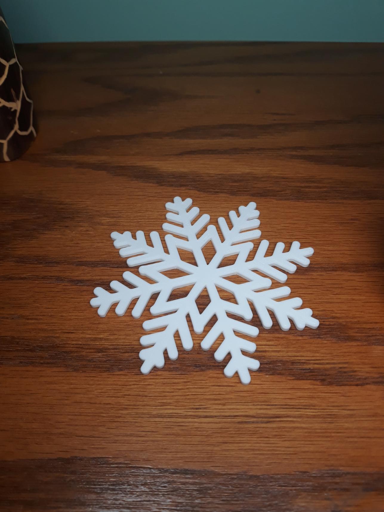 Snowflake Coaster 3d model