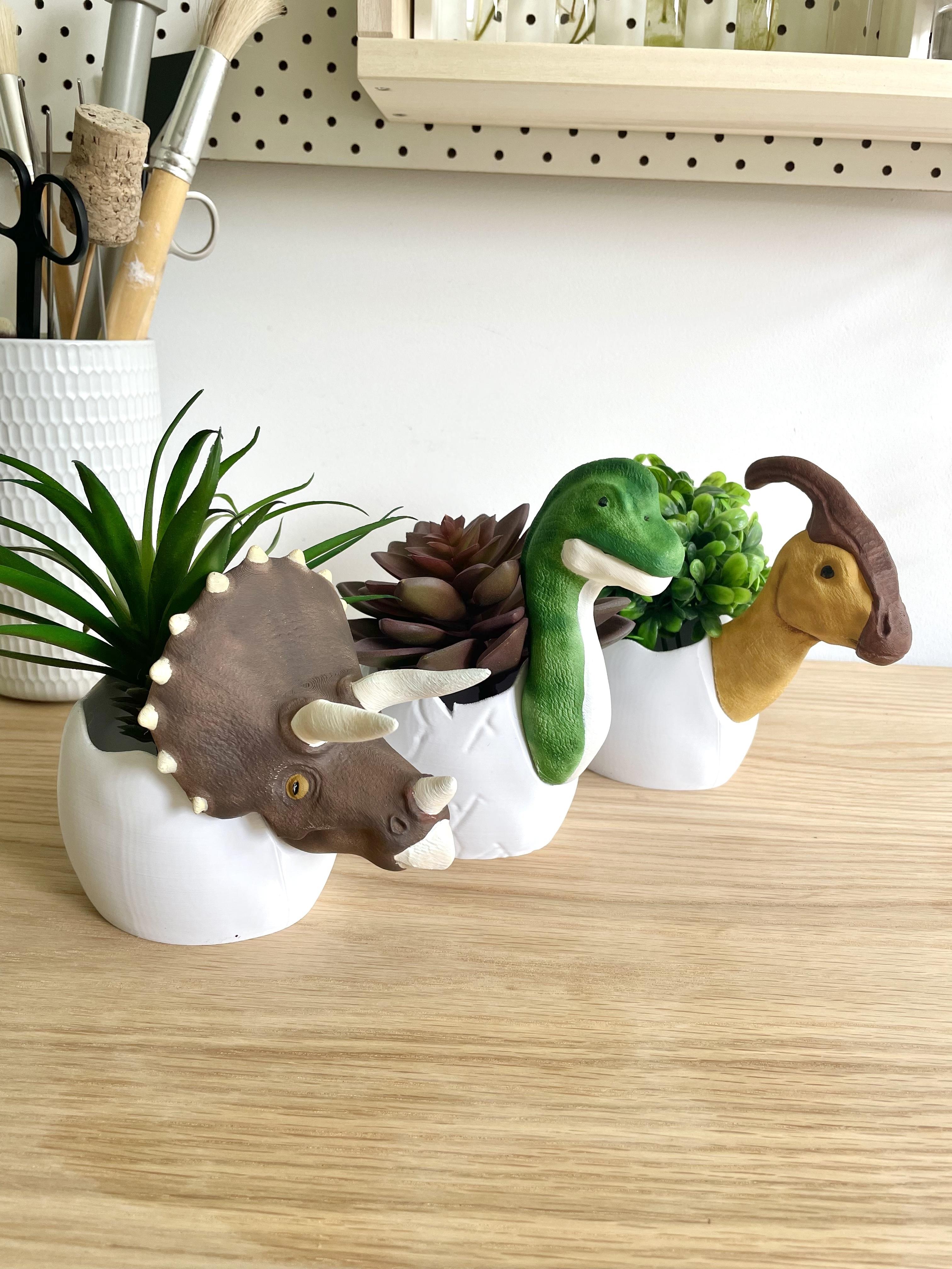 Dinosaur Egg Planters Set of 3 / Triceratops / Brachiosaurus / Parasaurus 3d model