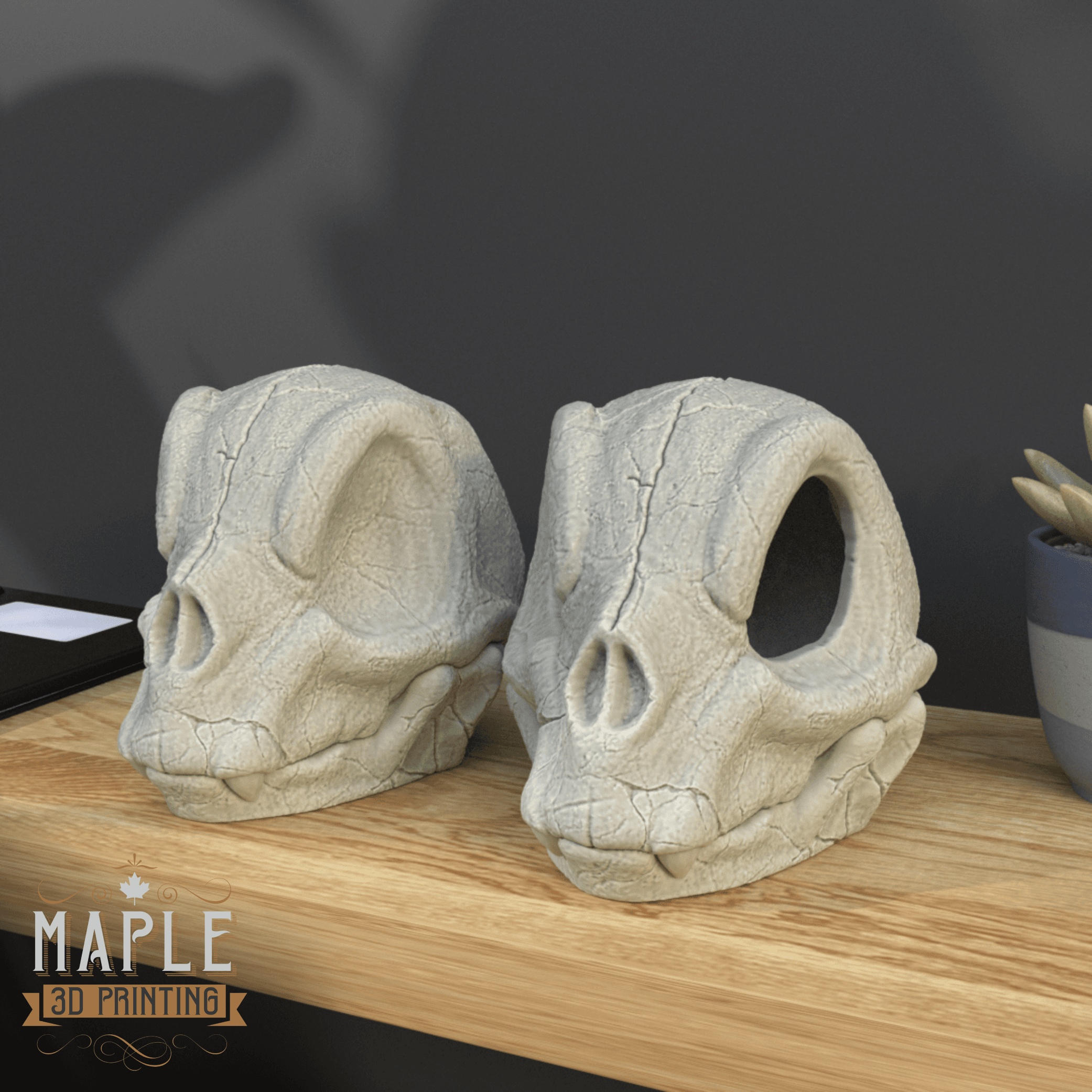 Charmander Skull - Pokemon - Support Free 3d model