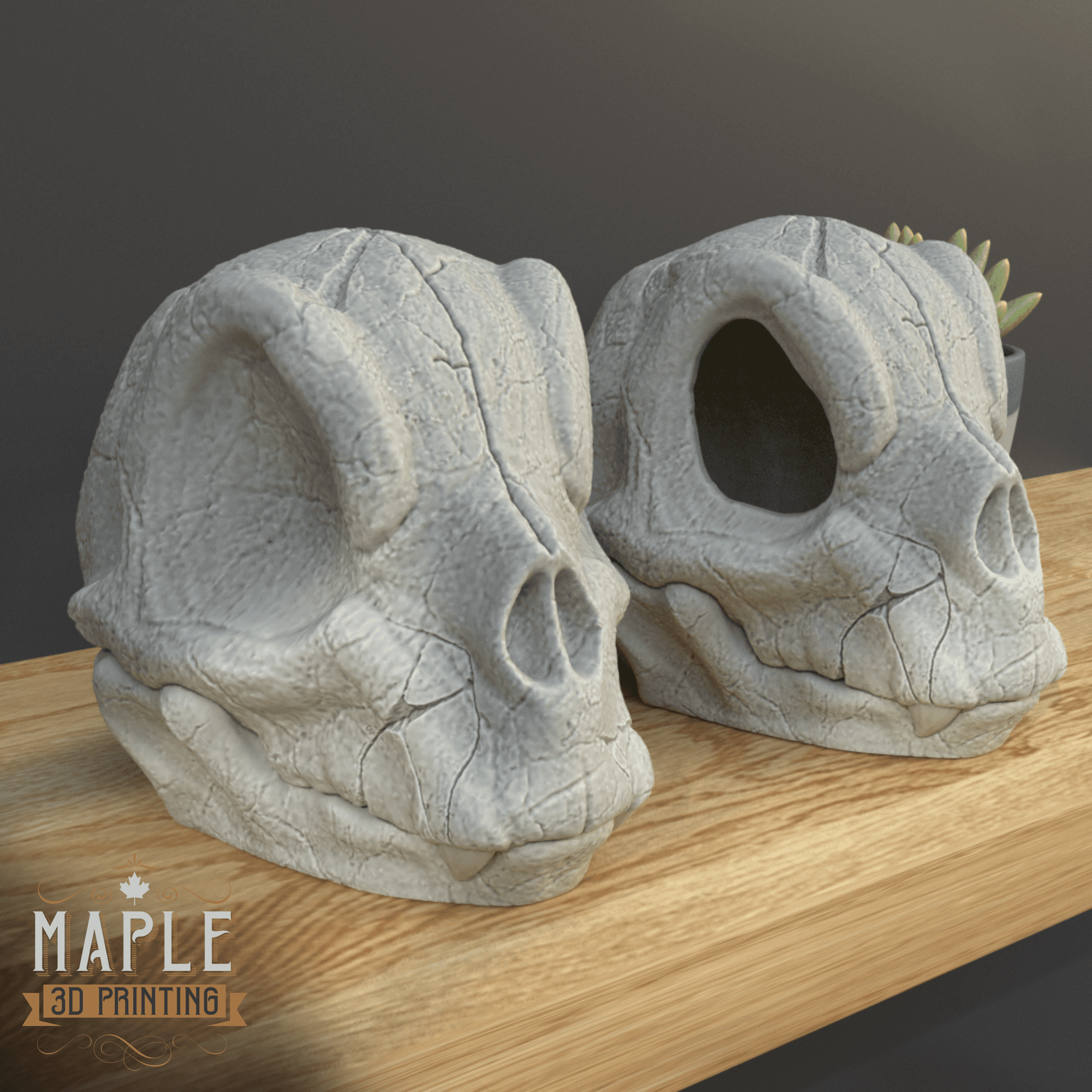 Charmander Skull - Pokemon - Support Free 3d model