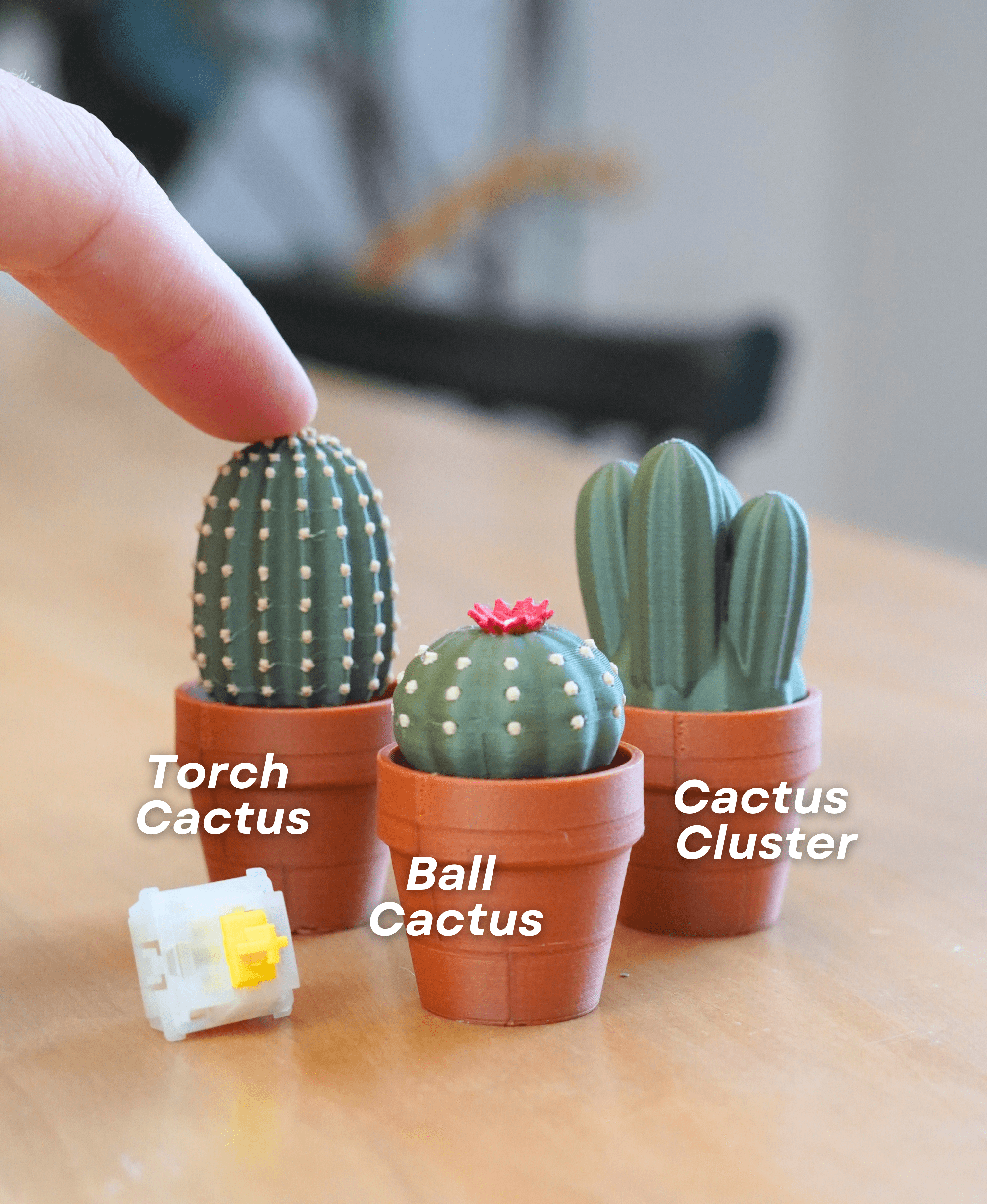 Clicky Cacti - Fidget Toy with Mechanical Switches - Pocket Plants 3d model