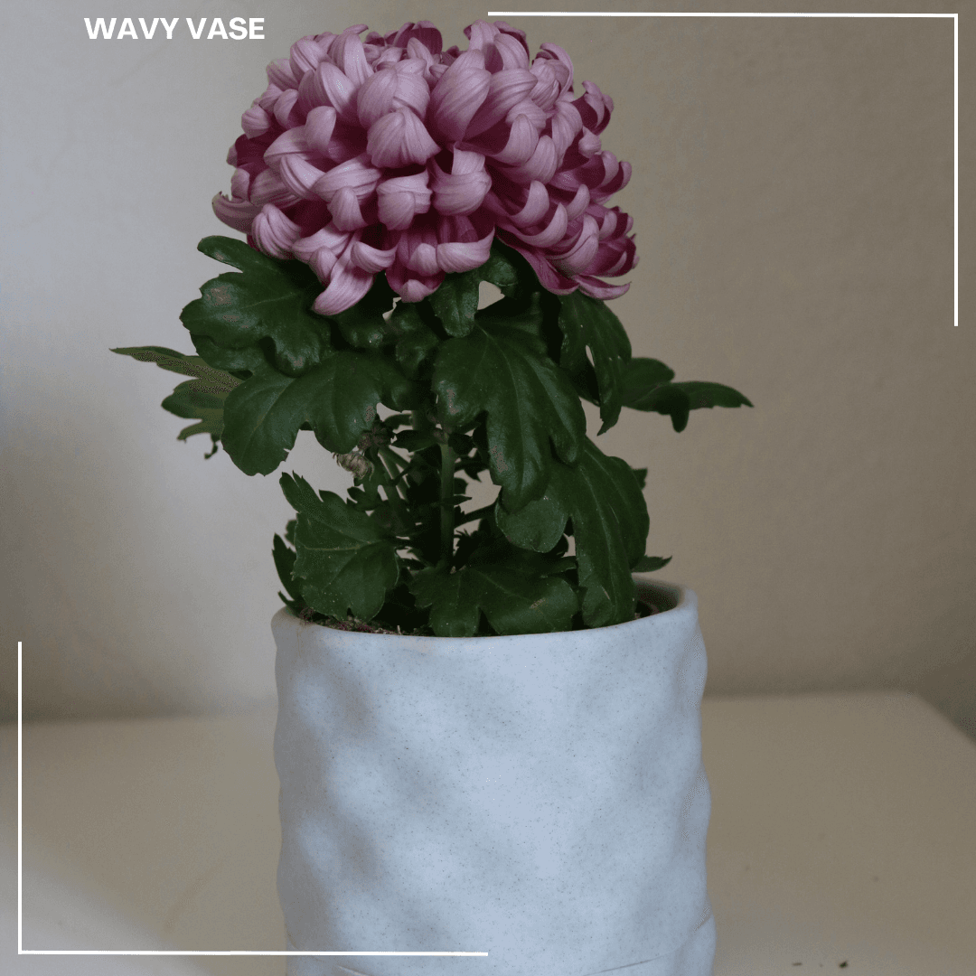 Wavy Planter / Vase 3d model