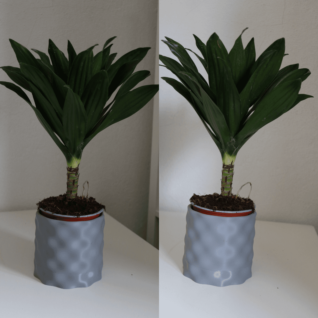 Wavy Planter / Vase 3d model