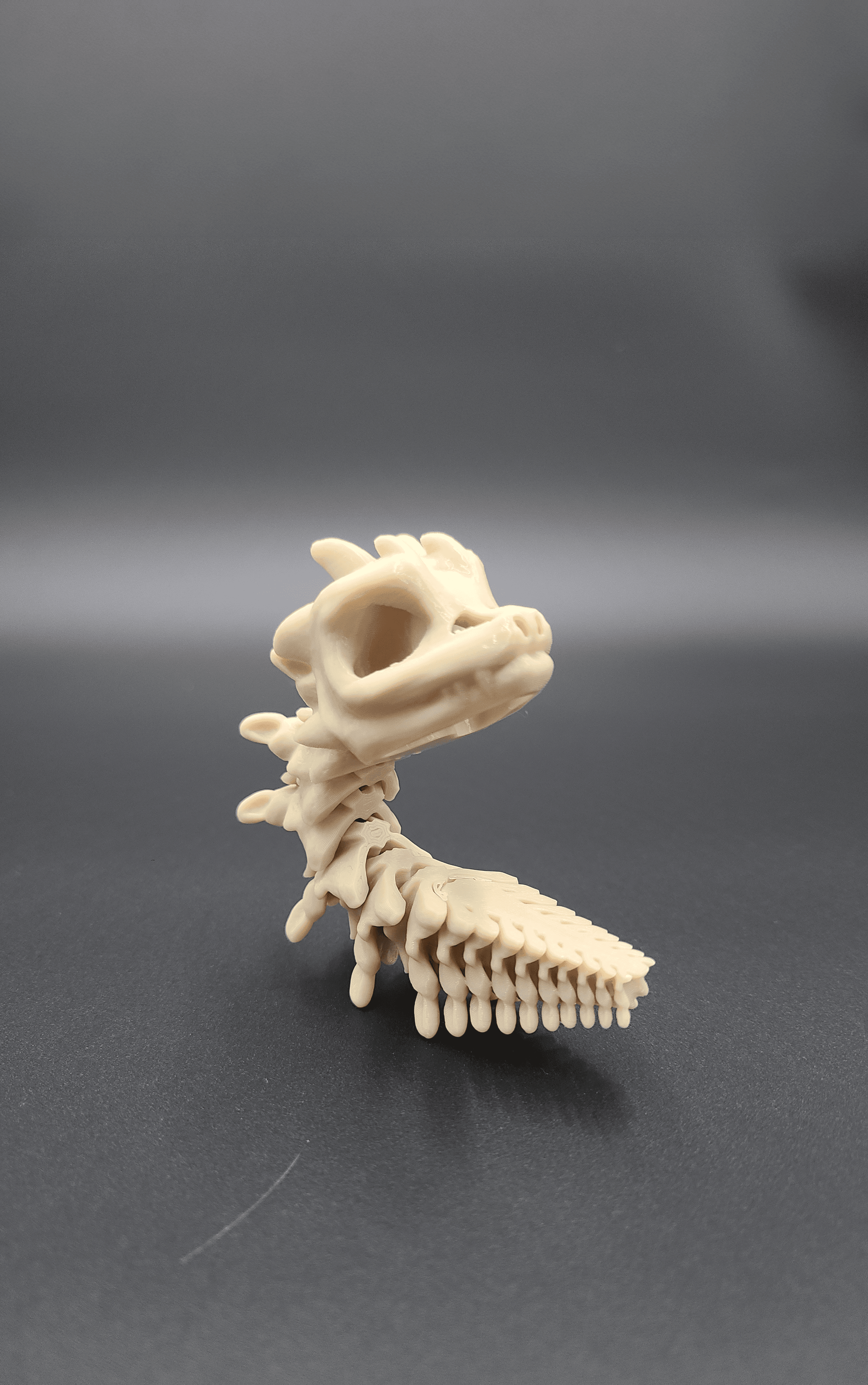 Short Bony Basilisk - Articulated Snap-Flex Fidget (Loose Joints) 3d model