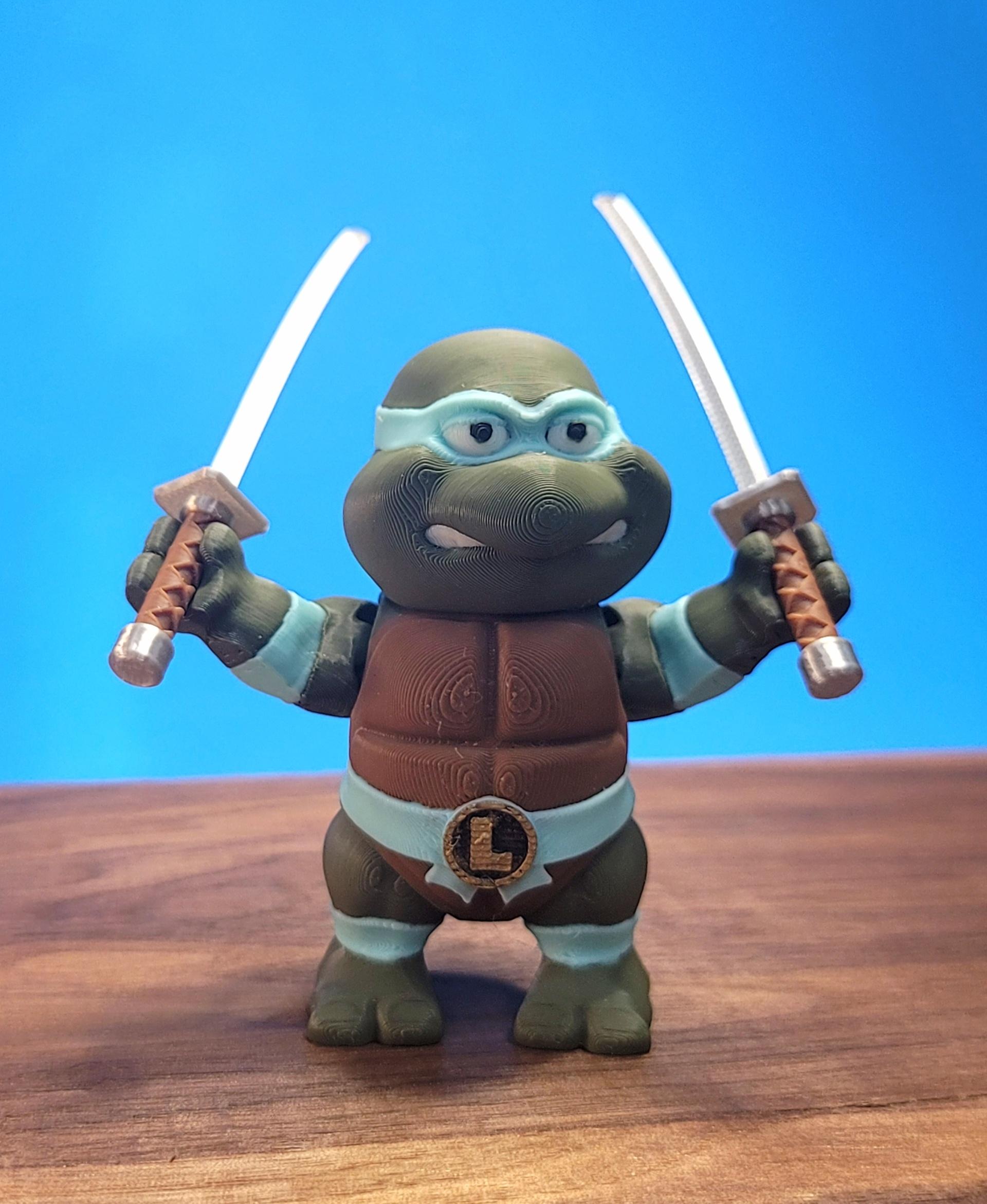 Leonardo and Michelangelo Fexi Combo Pack 3d model