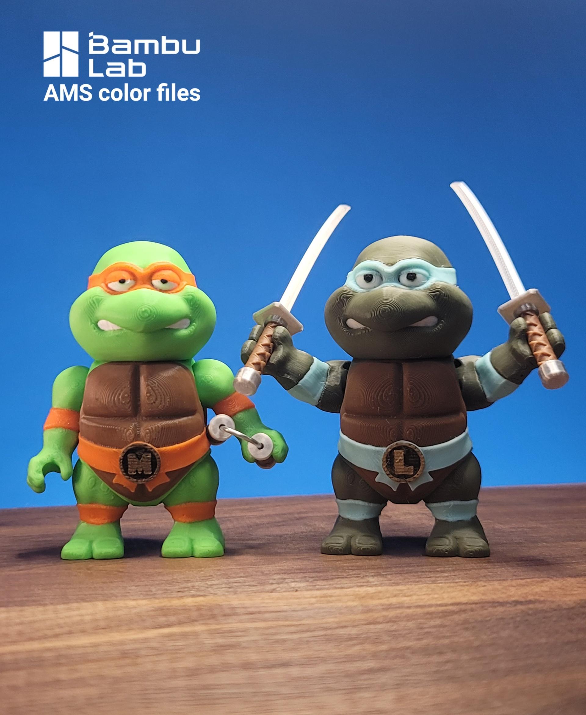 Leonardo and Michelangelo Fexi Combo Pack 3d model