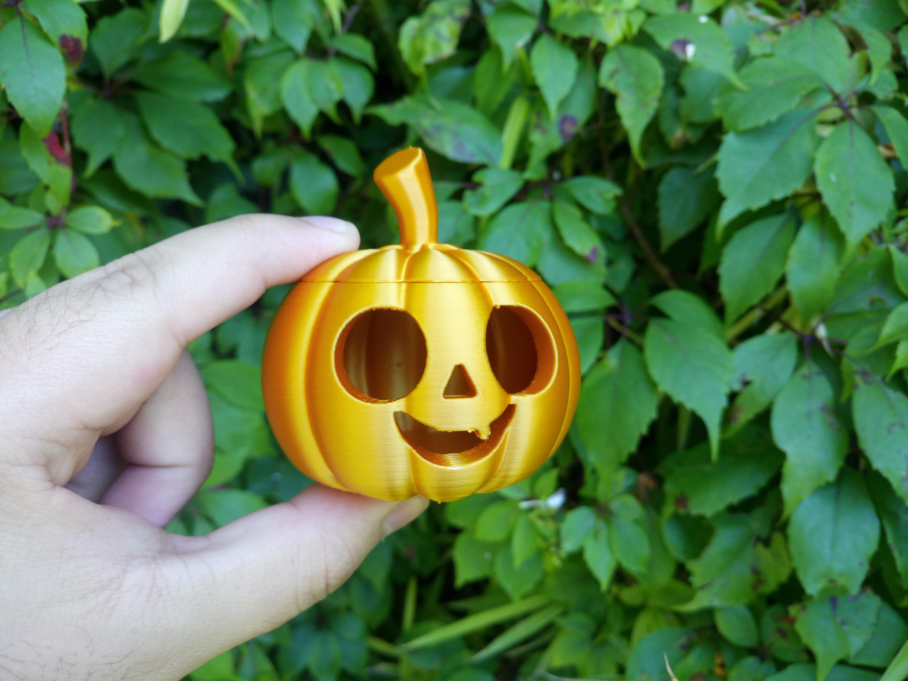 Little Pumpkin 3d model