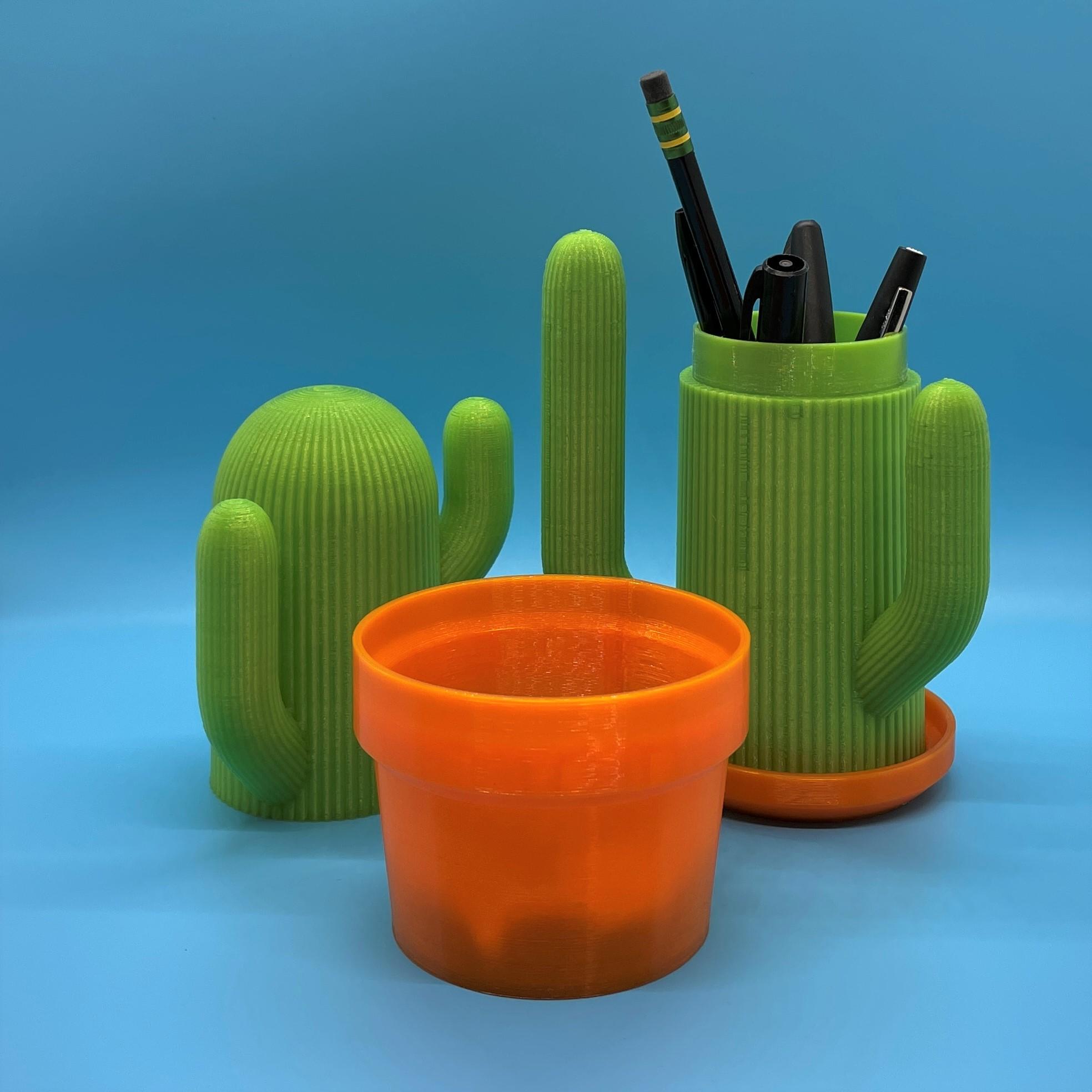 The Cactus Caddy 3d model