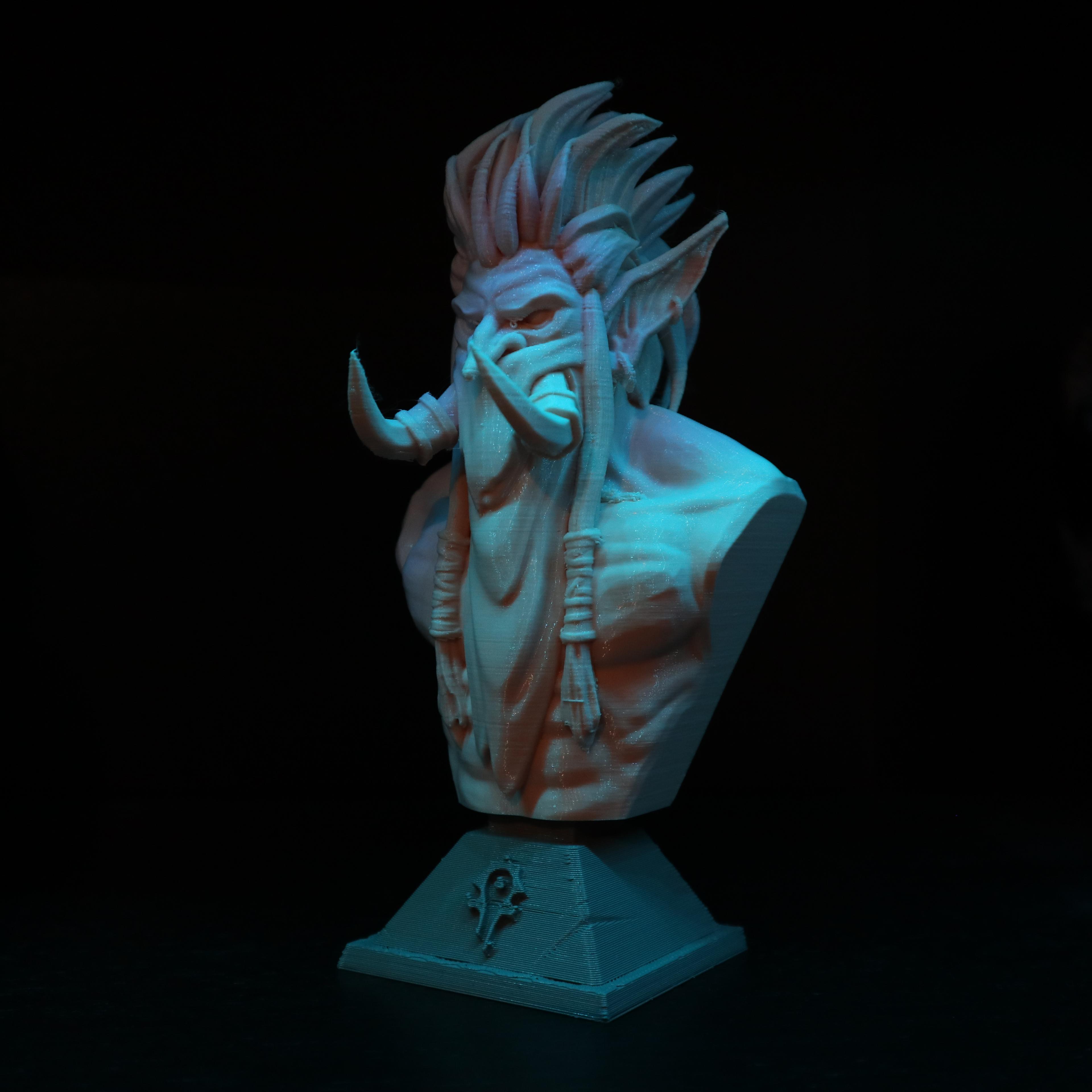 Zul 'Jin Bust - World of Warcraft 3d model