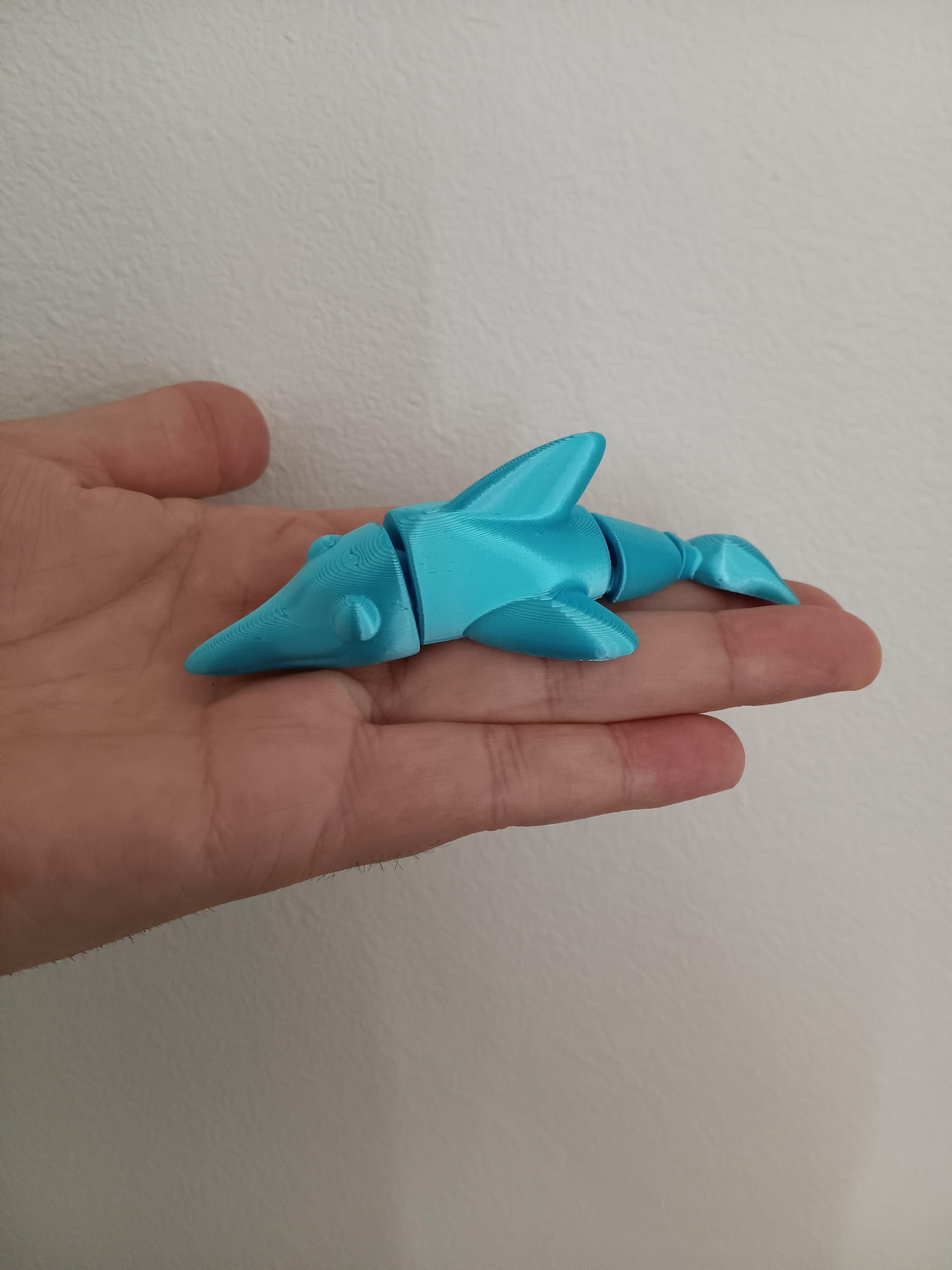 flexi dolphin.stl 3d model