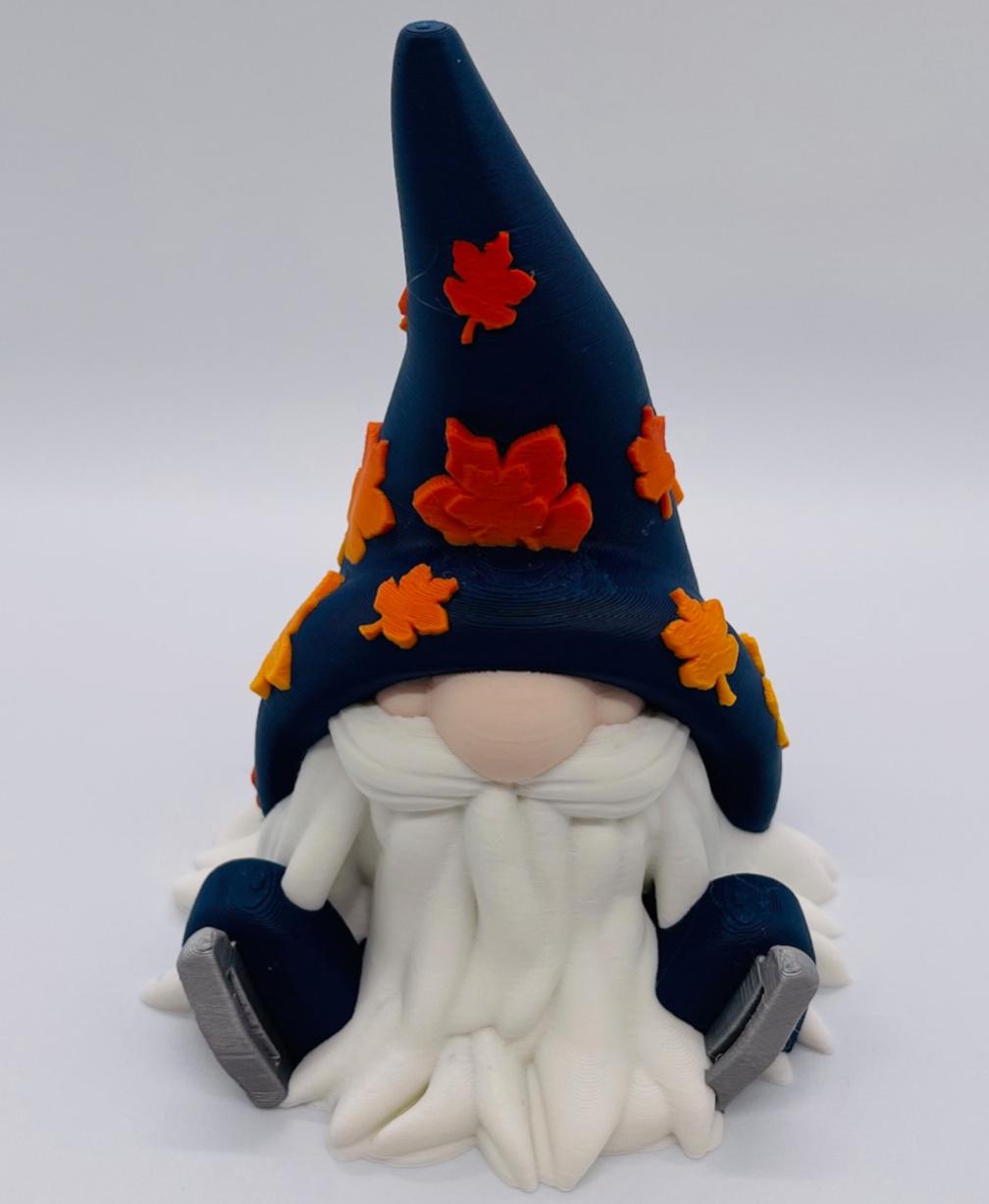 Fall lce Skate Gnome 3d model